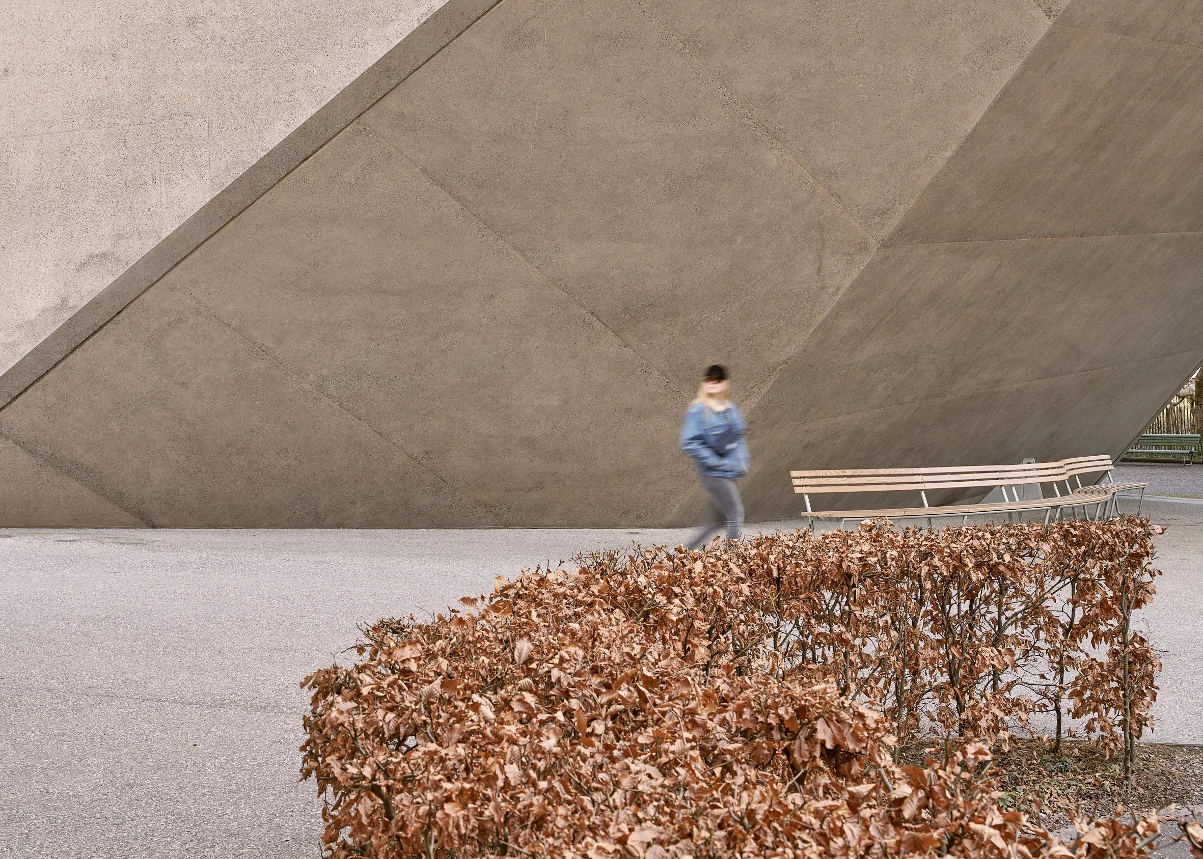 Detail der schräg geneigten Sichtbetonwand, davor eine herbstliche Hecke, eine Person geht unscharf vorbei