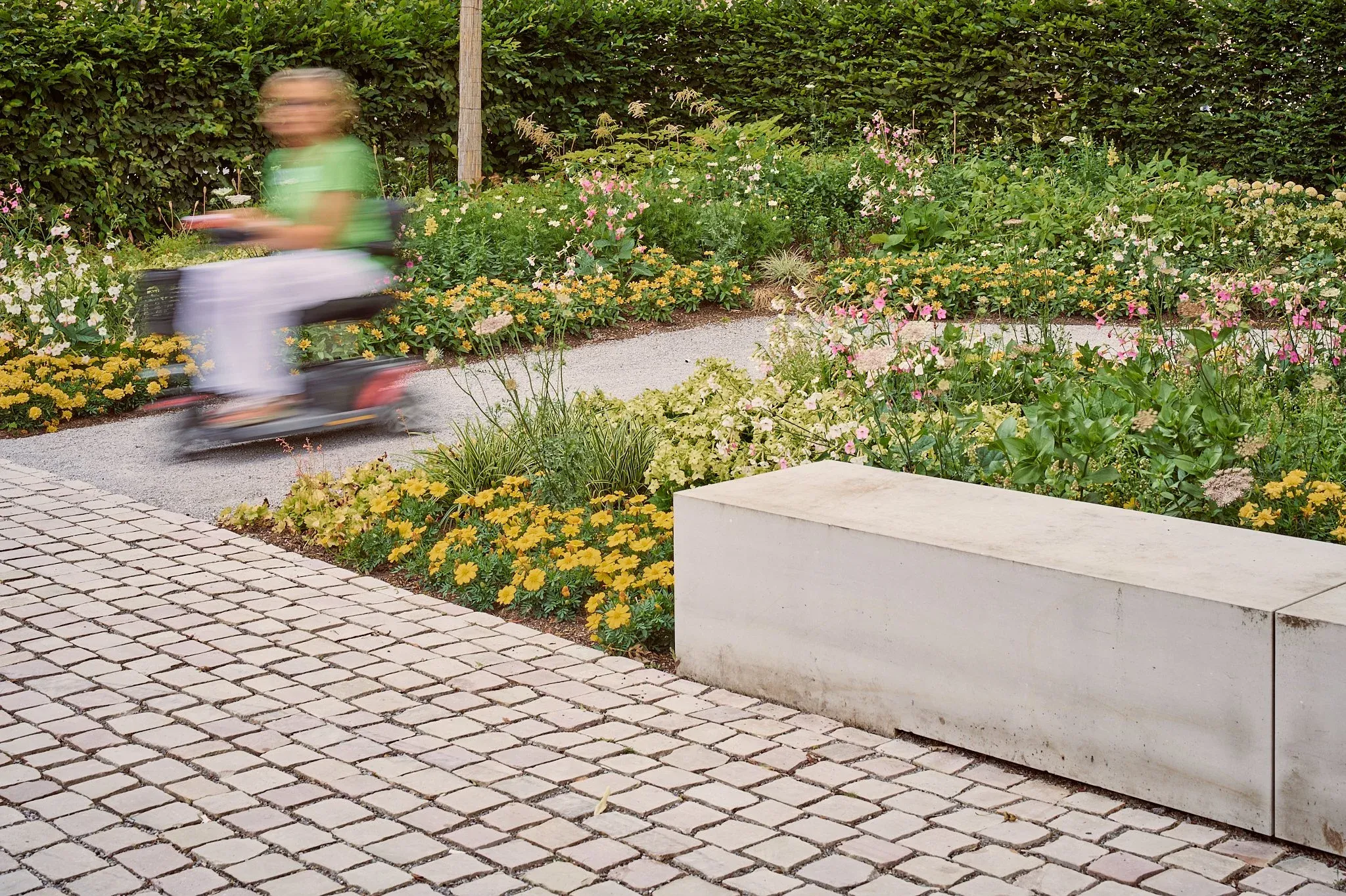 Person auf einem Roller fährt unscharf an blühenden Beeten vorbei, im Vordergrund Pflasterweg und langer Steinblock