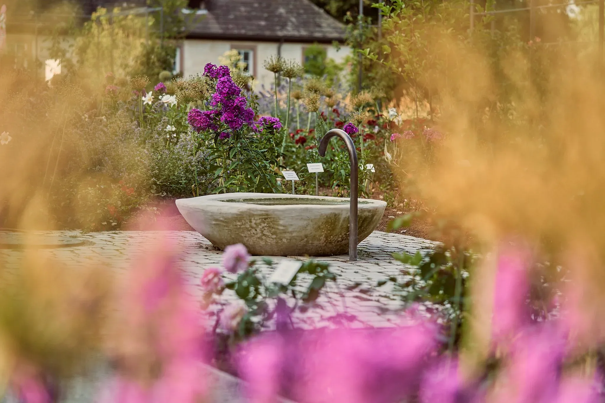 Flacher Steinbrunnen zwischen Stauden und Blüten im Remtergarten, Gräser und rosa Blumen unscharf im Vordergrund