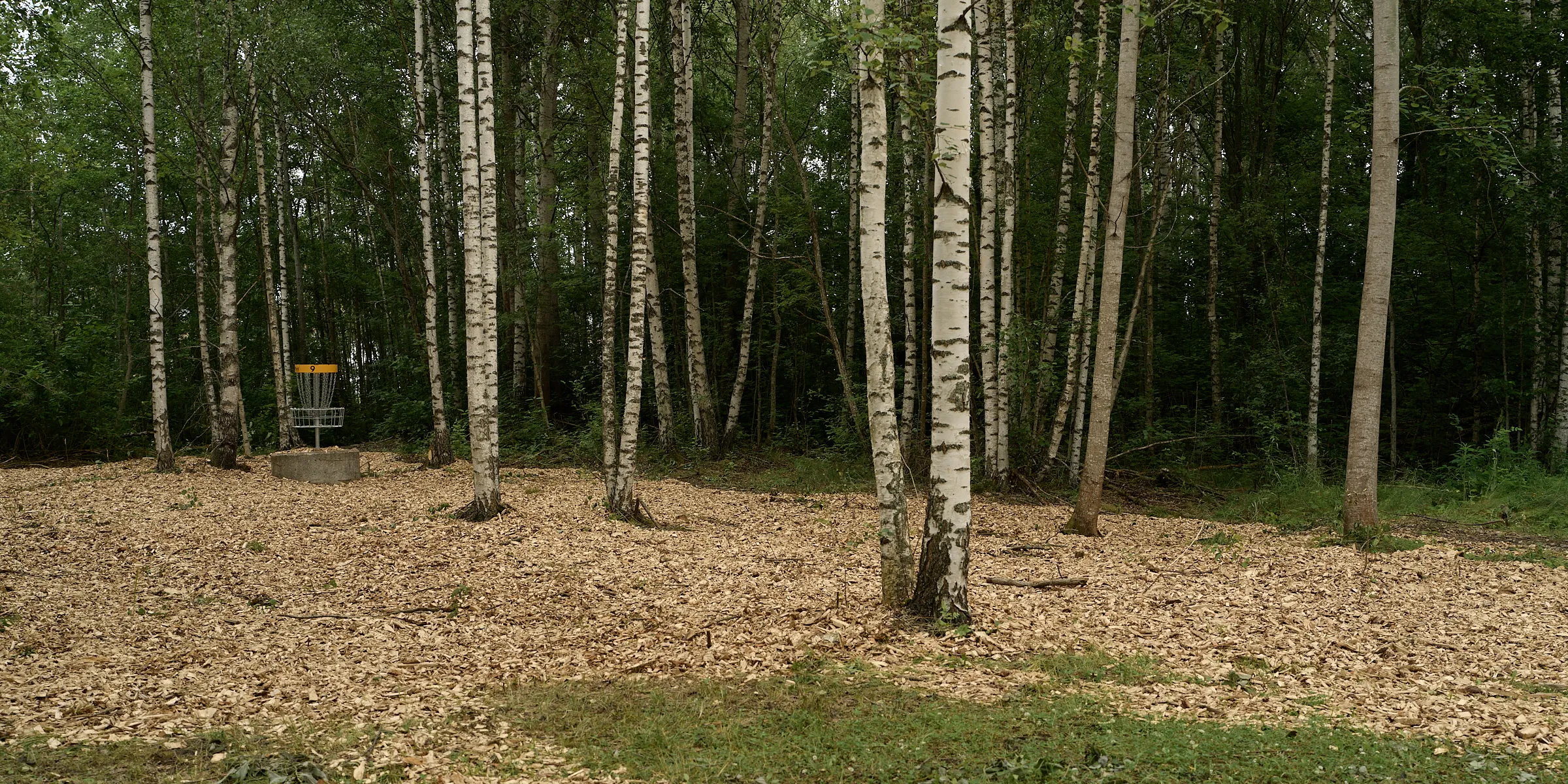 HIDDEN PLACES, Teos 065, 2026