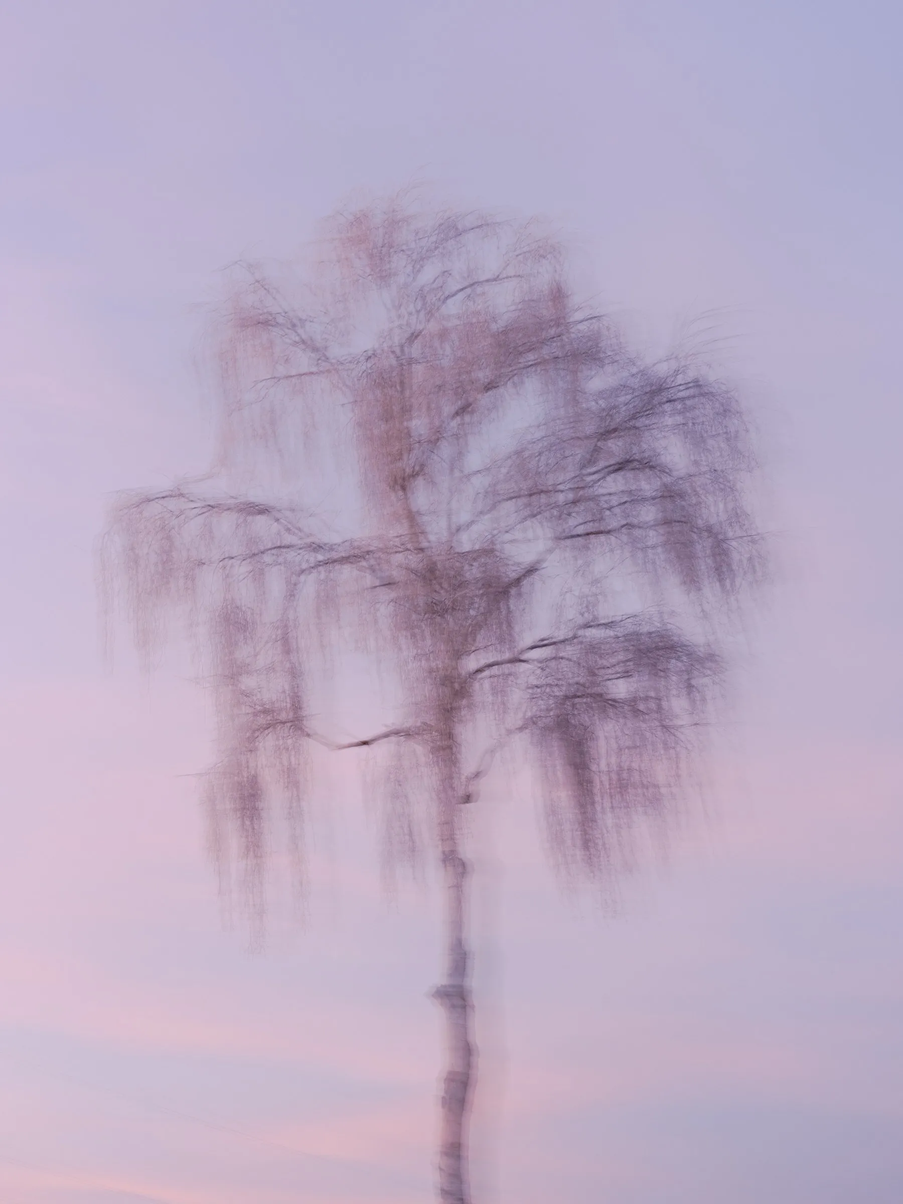 Heimat