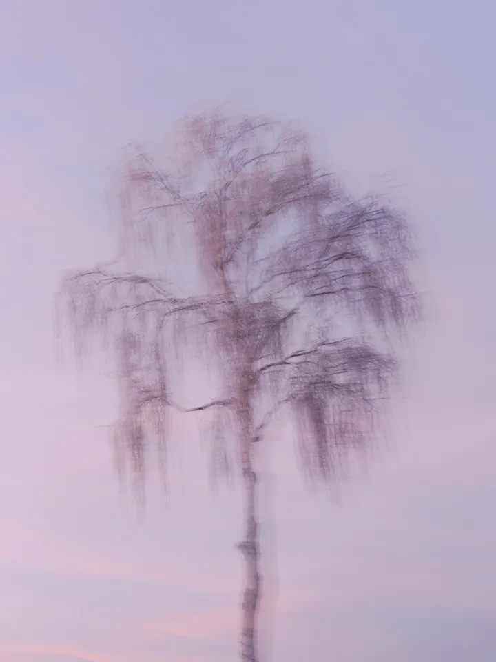 Heimat