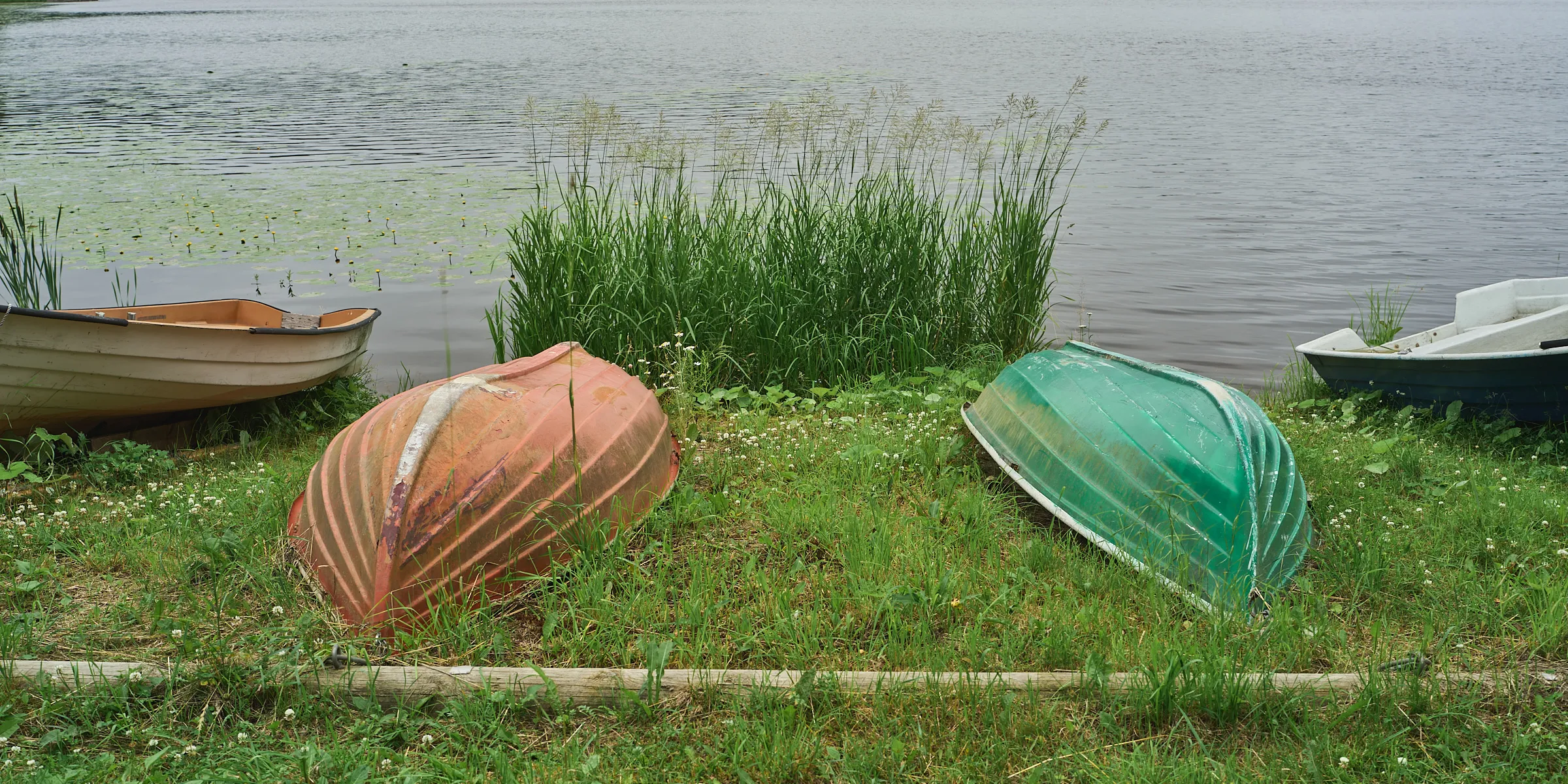 Two rowing boats in tall shore grass in front of the water