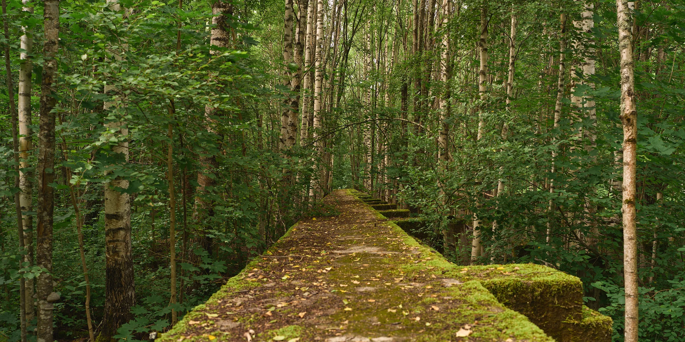 HIDDEN PLACES, Teos 092, 2026