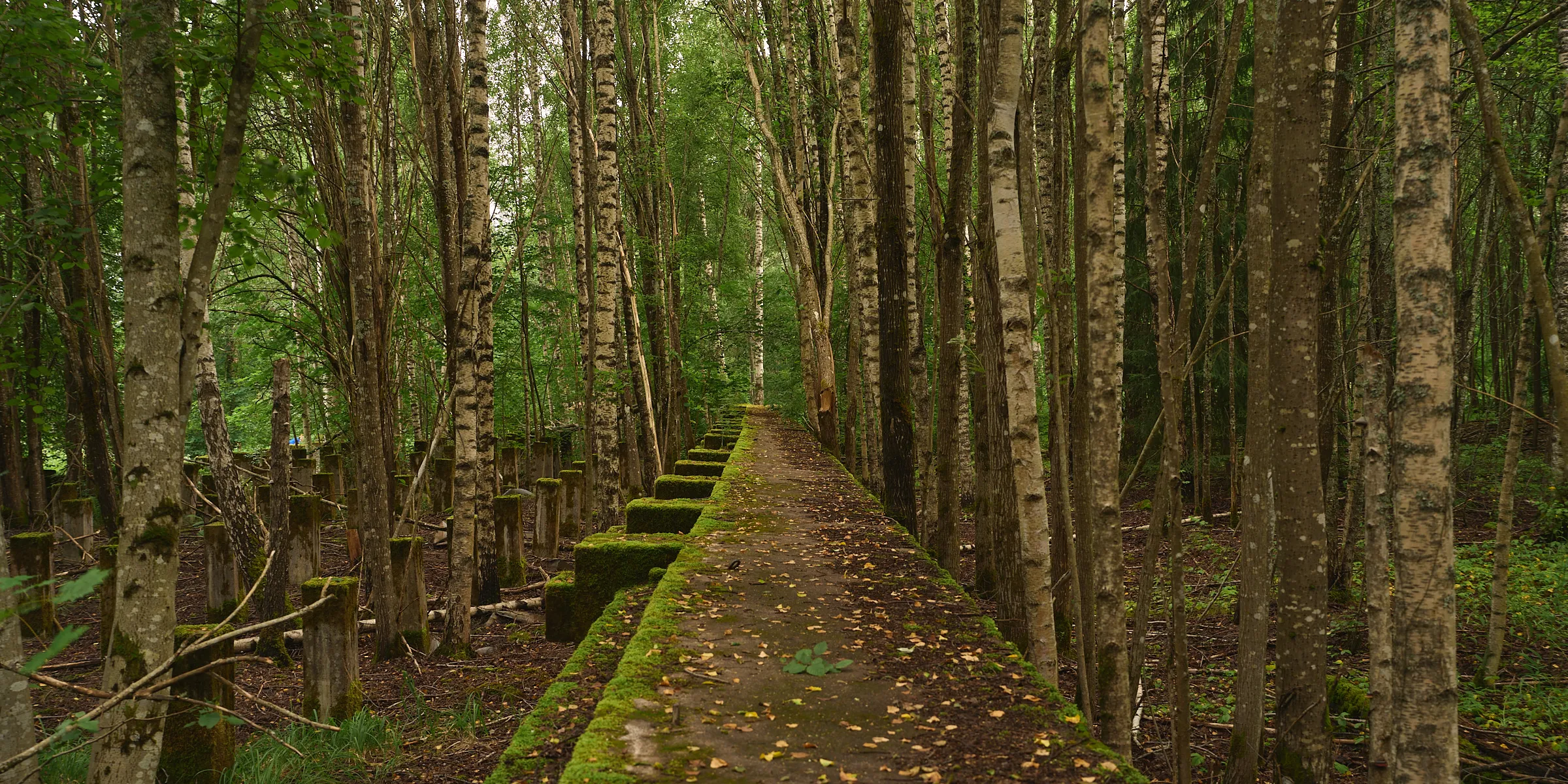 HIDDEN PLACES, Teos 093, 2026