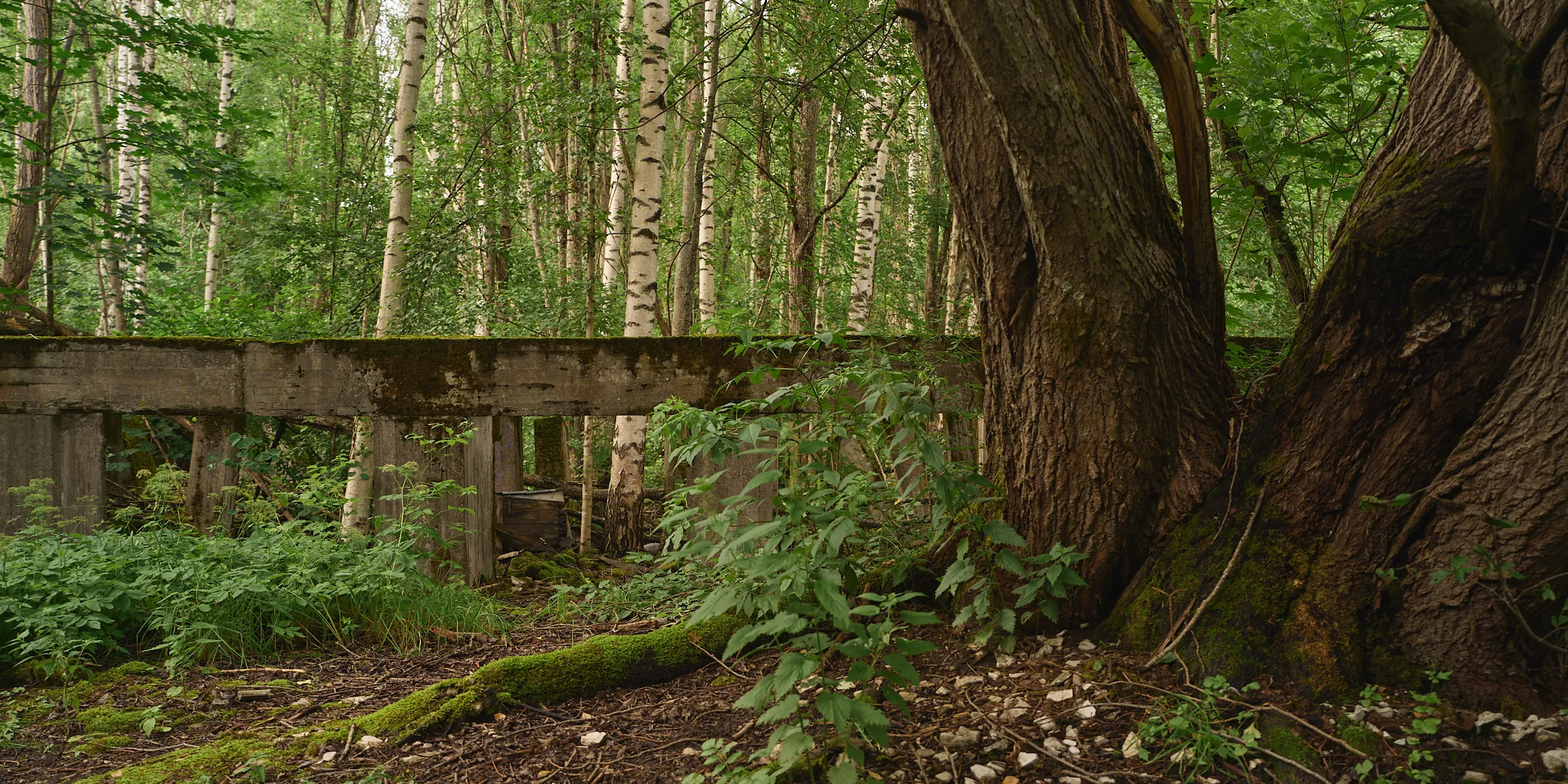 HIDDEN PLACES, Teos 095, 2026