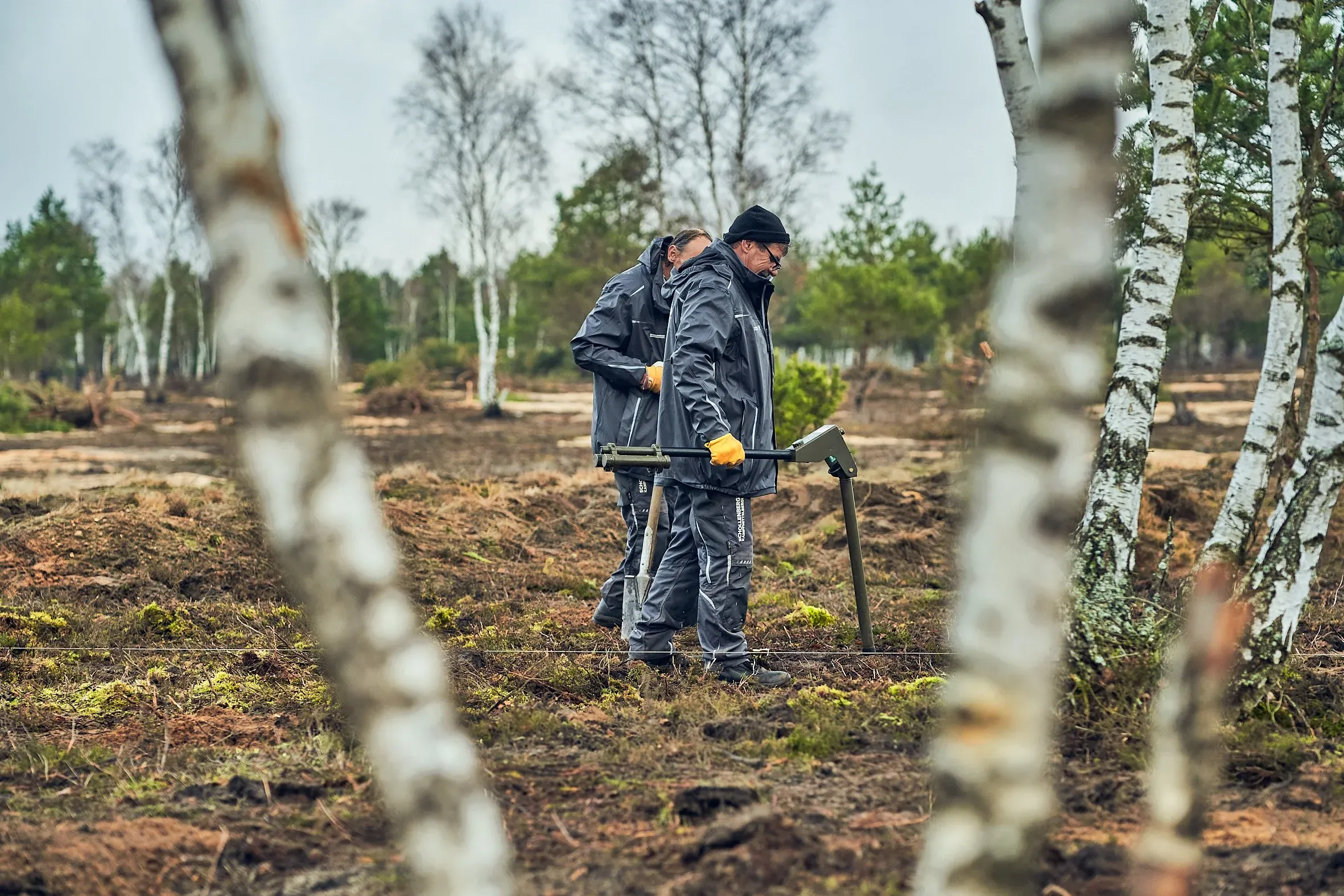 Zwei Arbeiter sondieren mit Metalldetektor das Heidegelände, im Vordergrund Birkenstämme