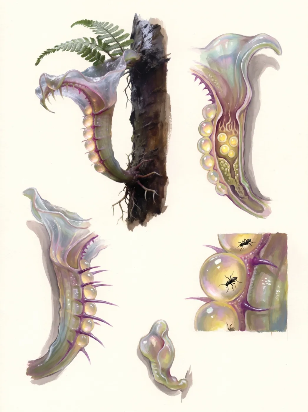 Parasitenfalle