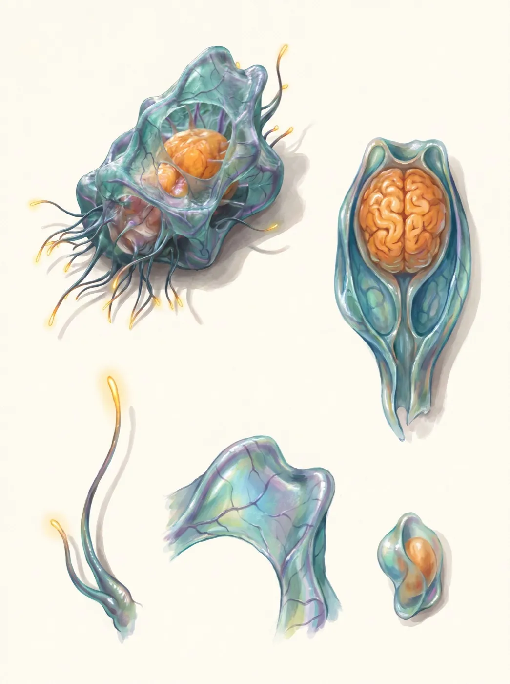 Membransack