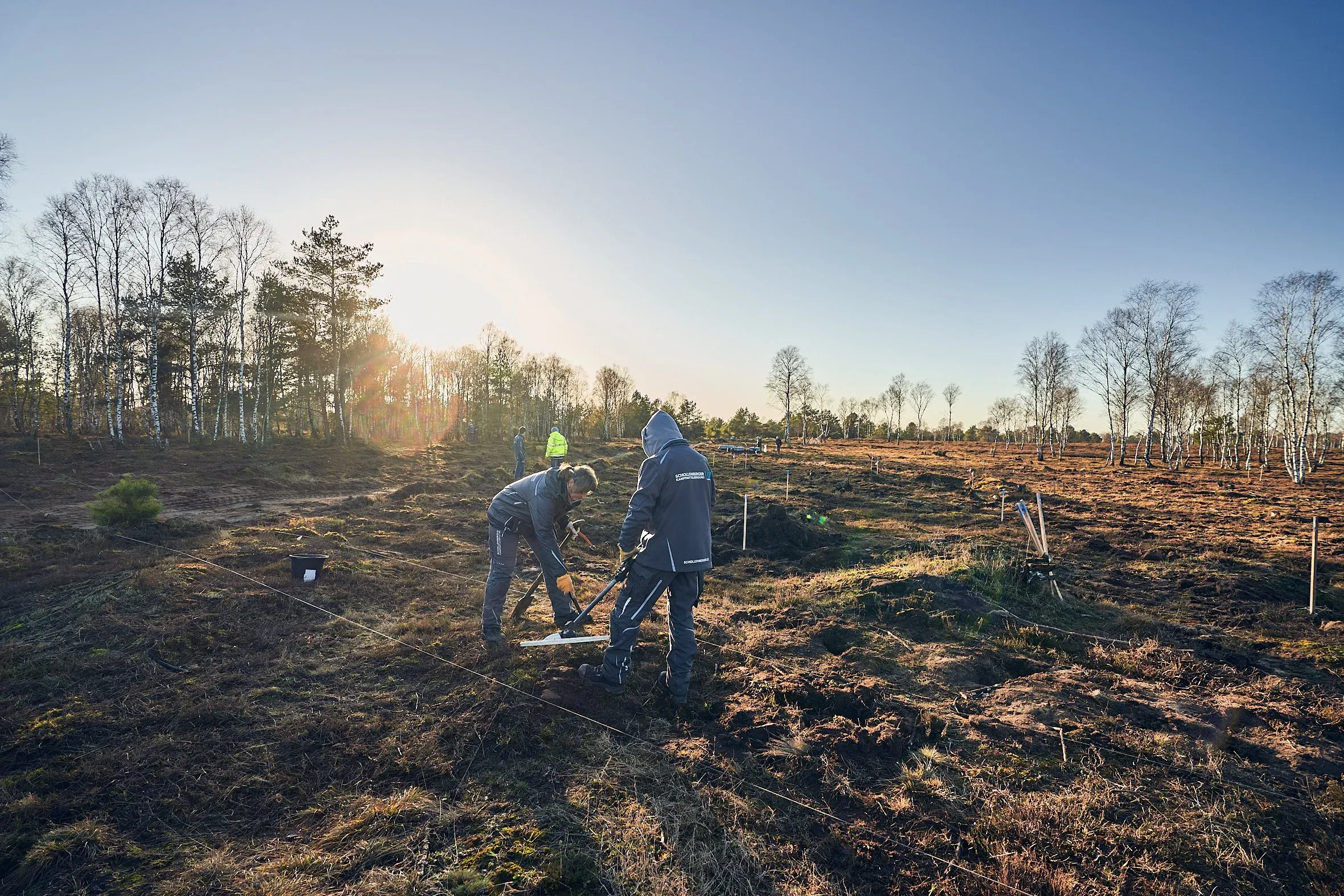 Zwei Arbeiter graben im Heidegelände im Gegenlicht der tiefstehenden Sonne
