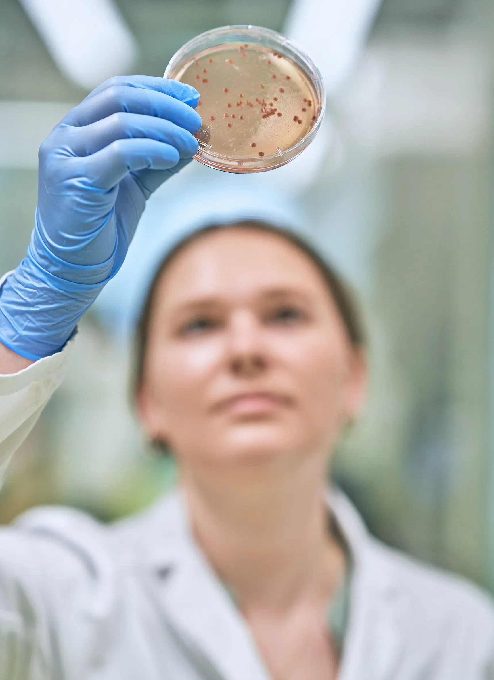 Wissenschaftlerin im Labor hält eine Petrischale mit roten Kolonien gegen das Licht, blaue Handschuhe