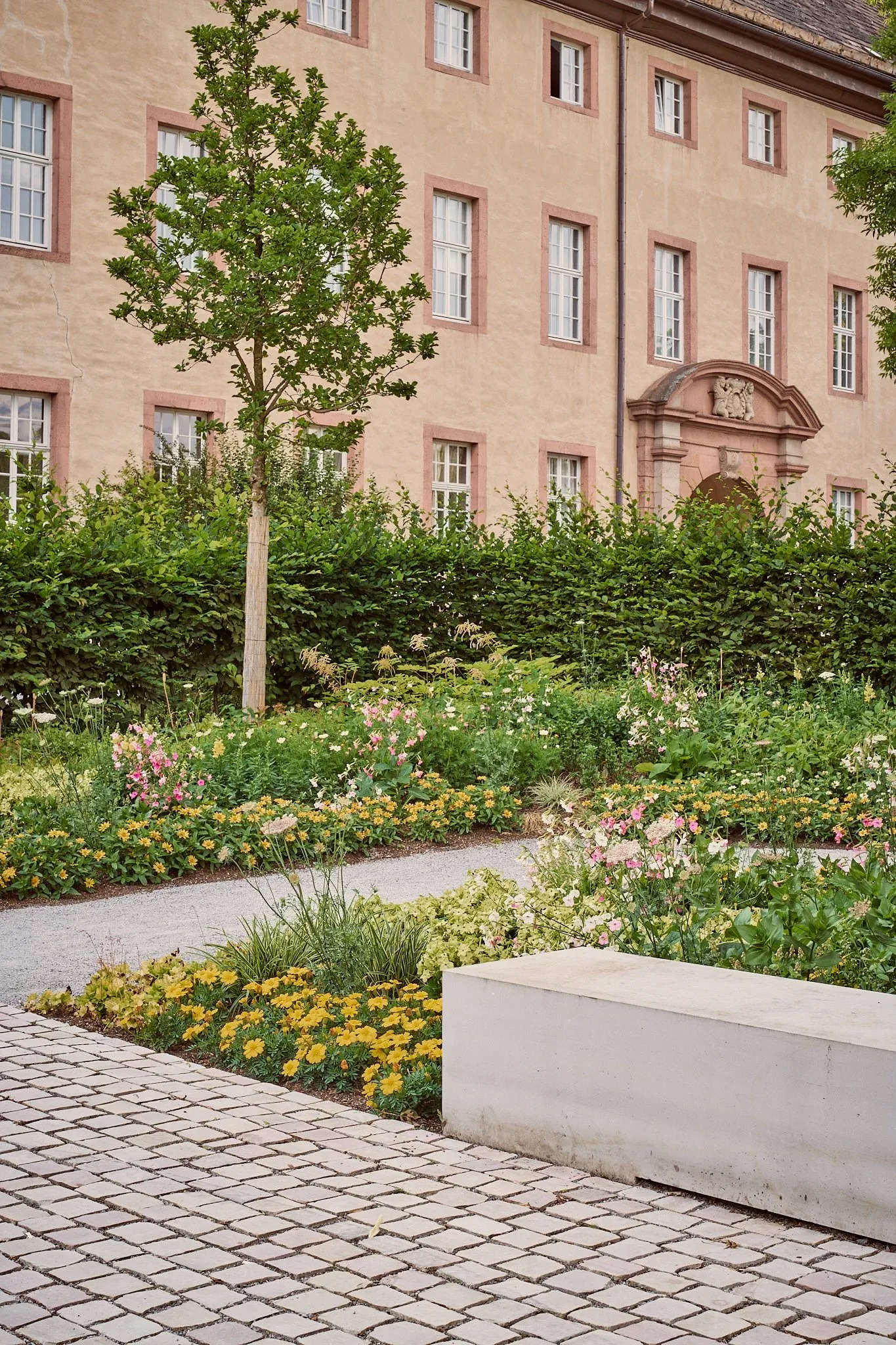 Junger Baum und blühende Beete hinter niedrigem Steinblock im Remtergarten, helle Gebäudefassade dahinter