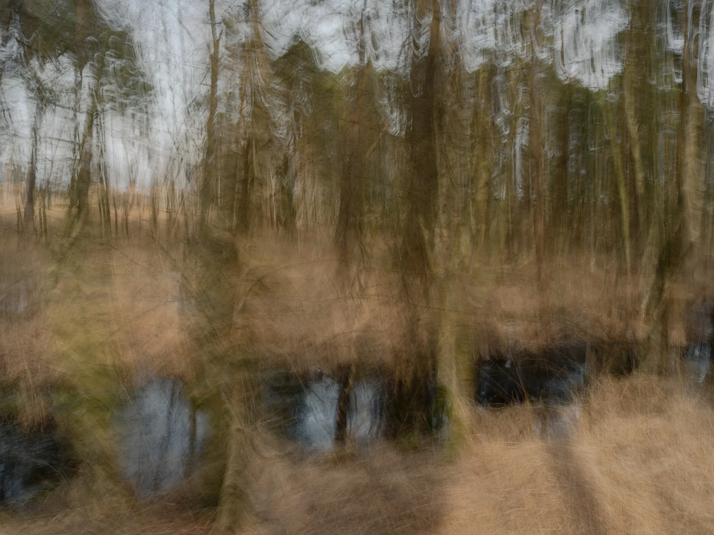 Fragment XV