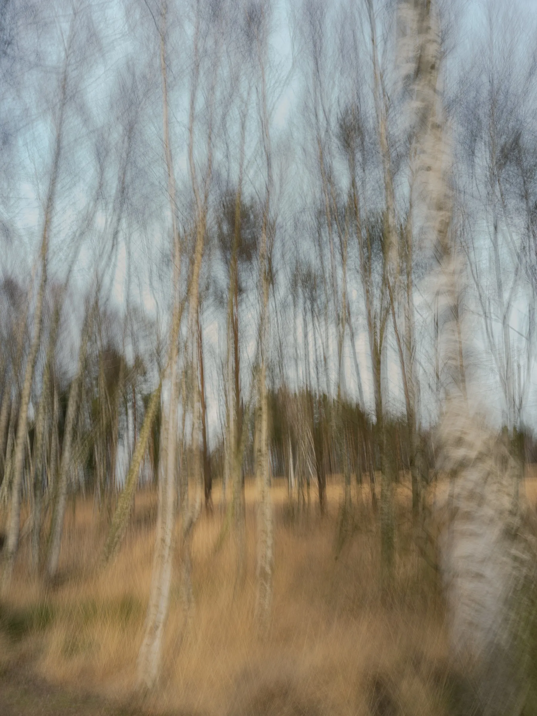 Fragment XXII