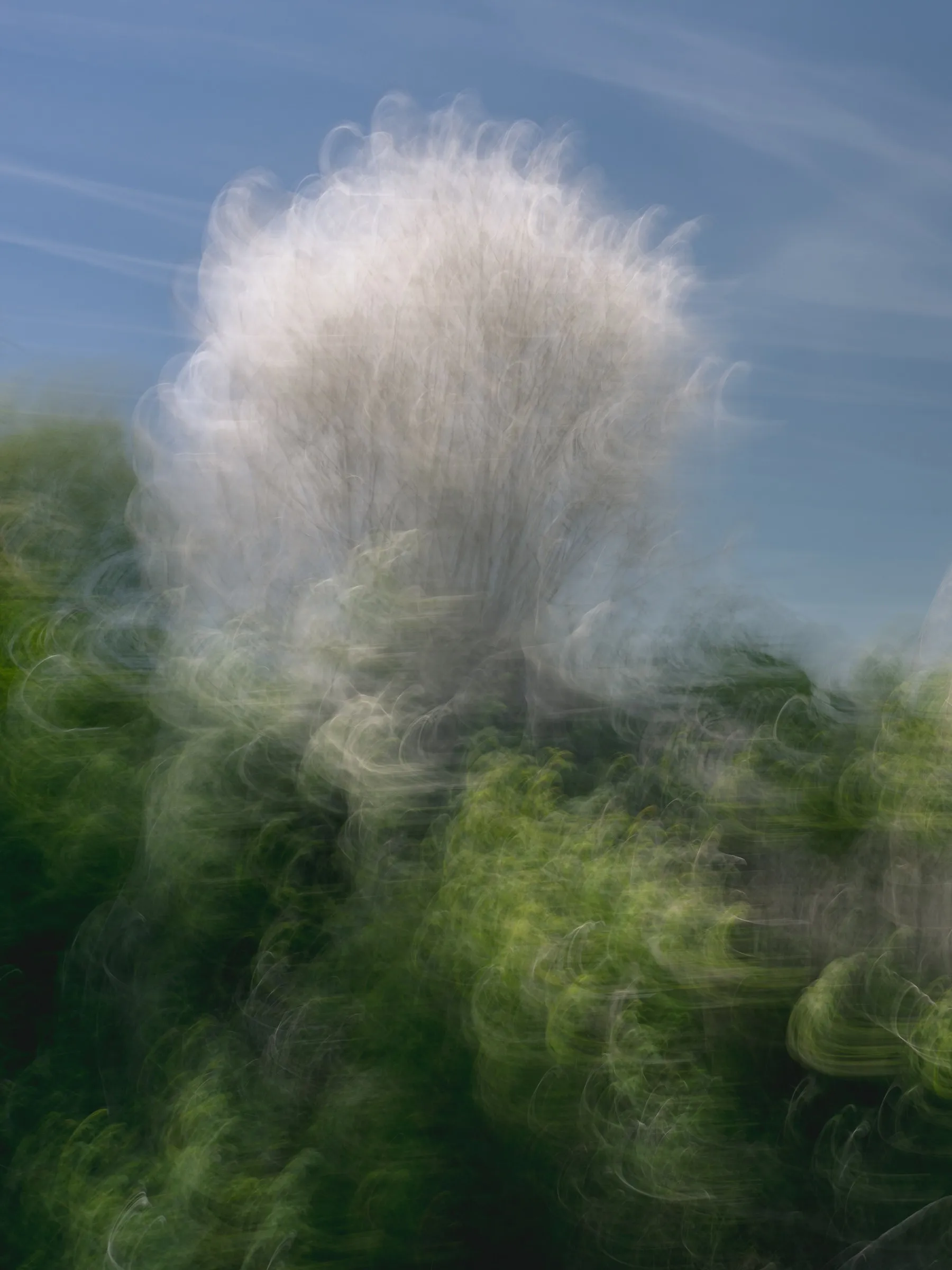 Fragment XXIII