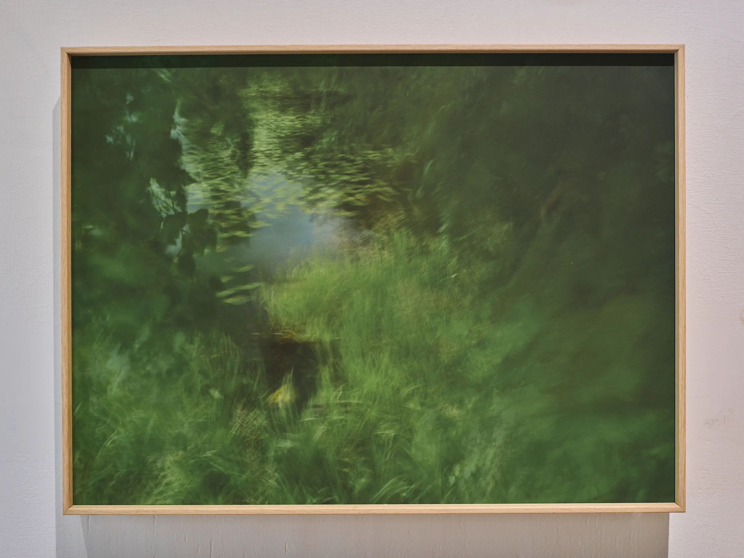 Large framed photograph of green blurred water and shoreline greenery