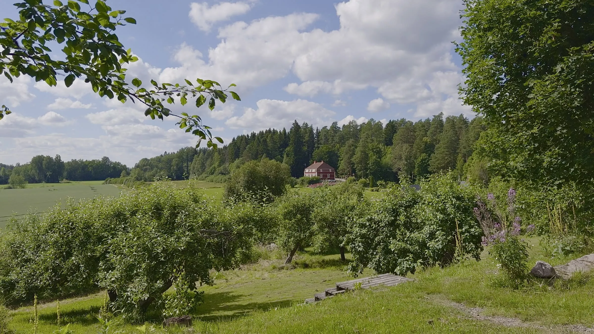 Video: slow pan from the terrace in Launonen across fruit trees and fields to a red house at the forest edge