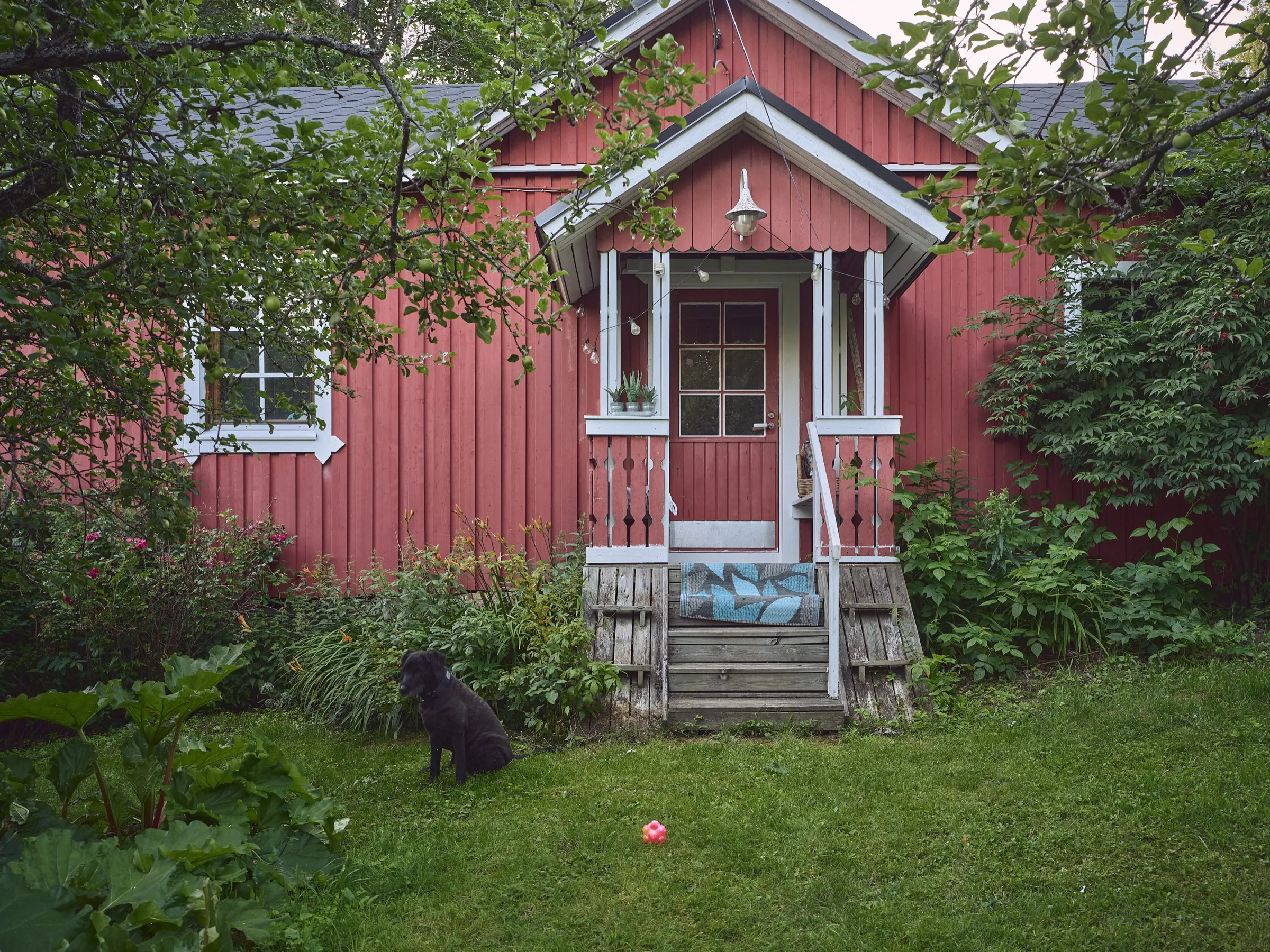 Red wooden house with white porch steps, a black dog sitting in the grass in front