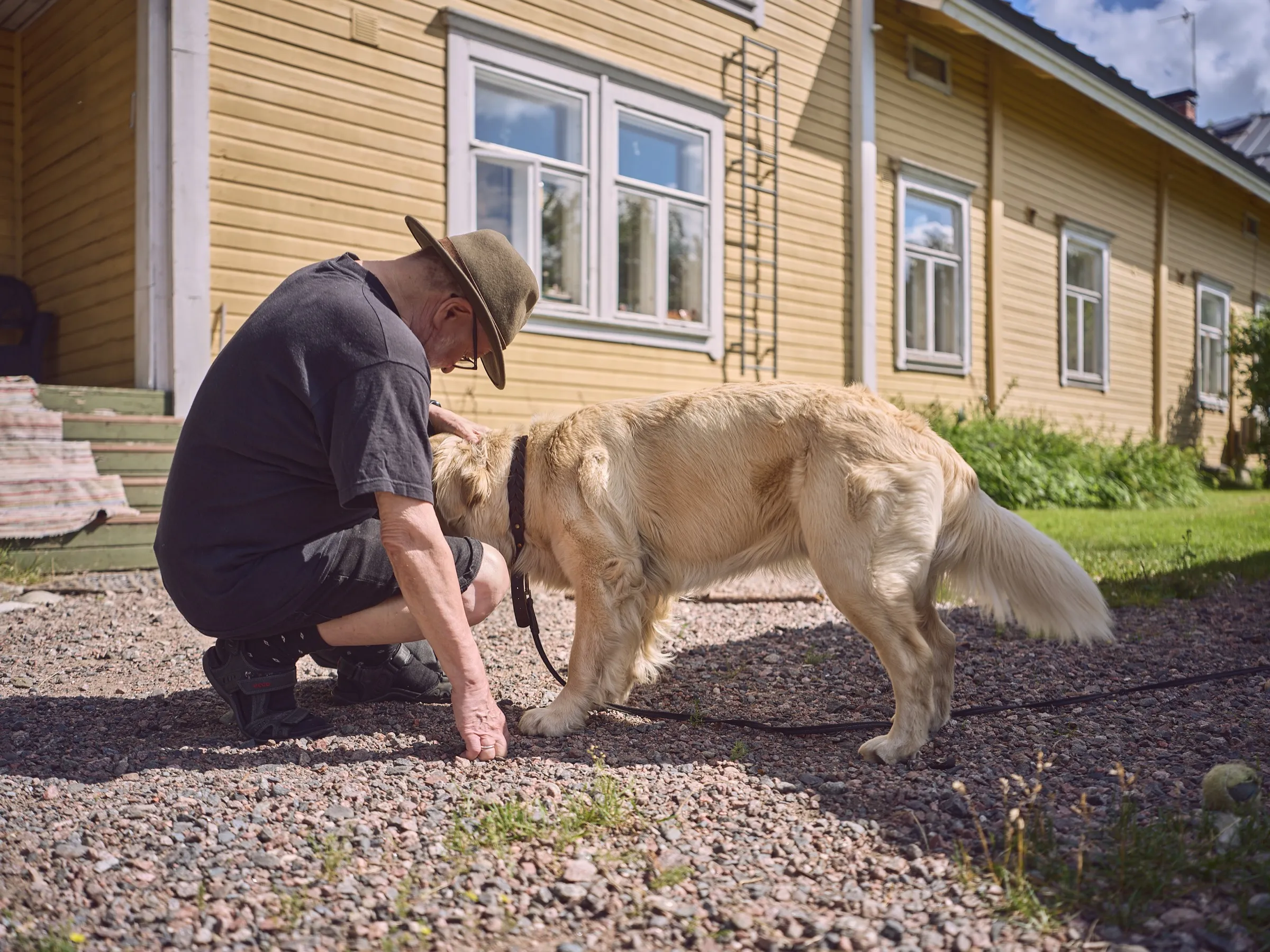 Terho crouching on the gravel, greeting a golden retriever