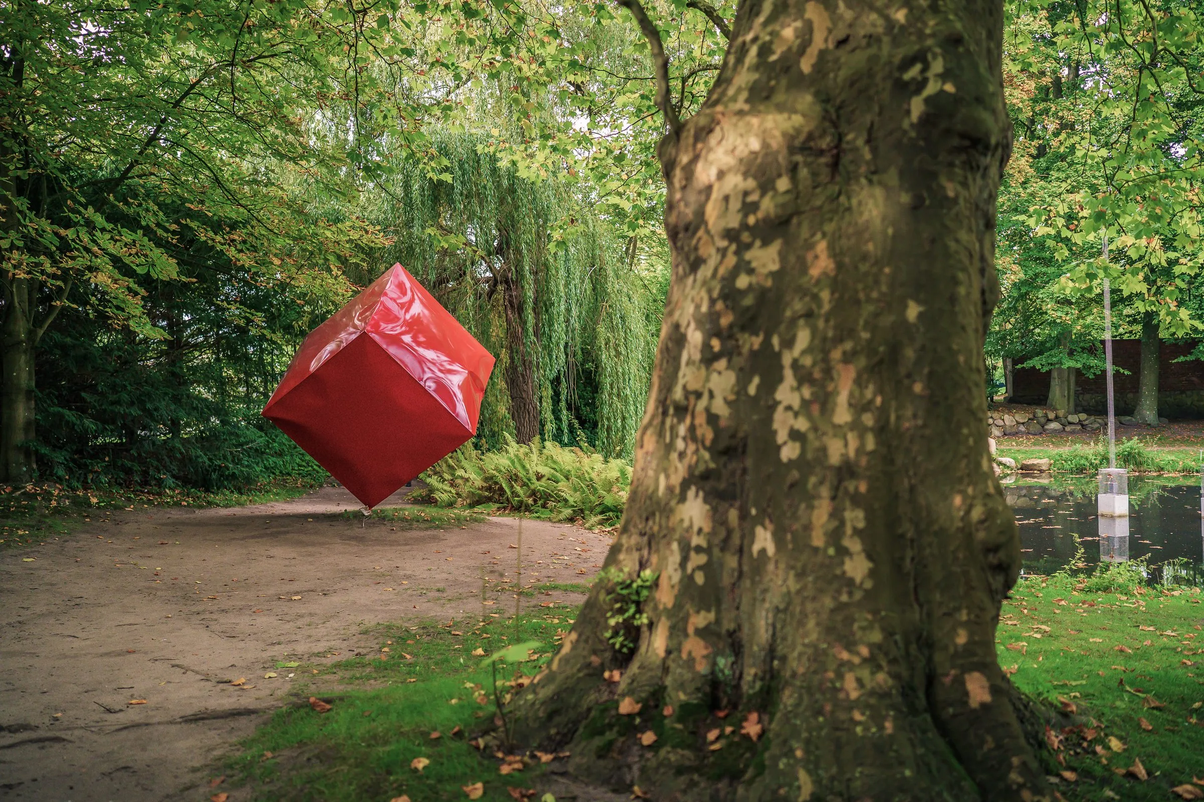 A red cube floating at an angle above the path, beside it the trunk of a plane tree