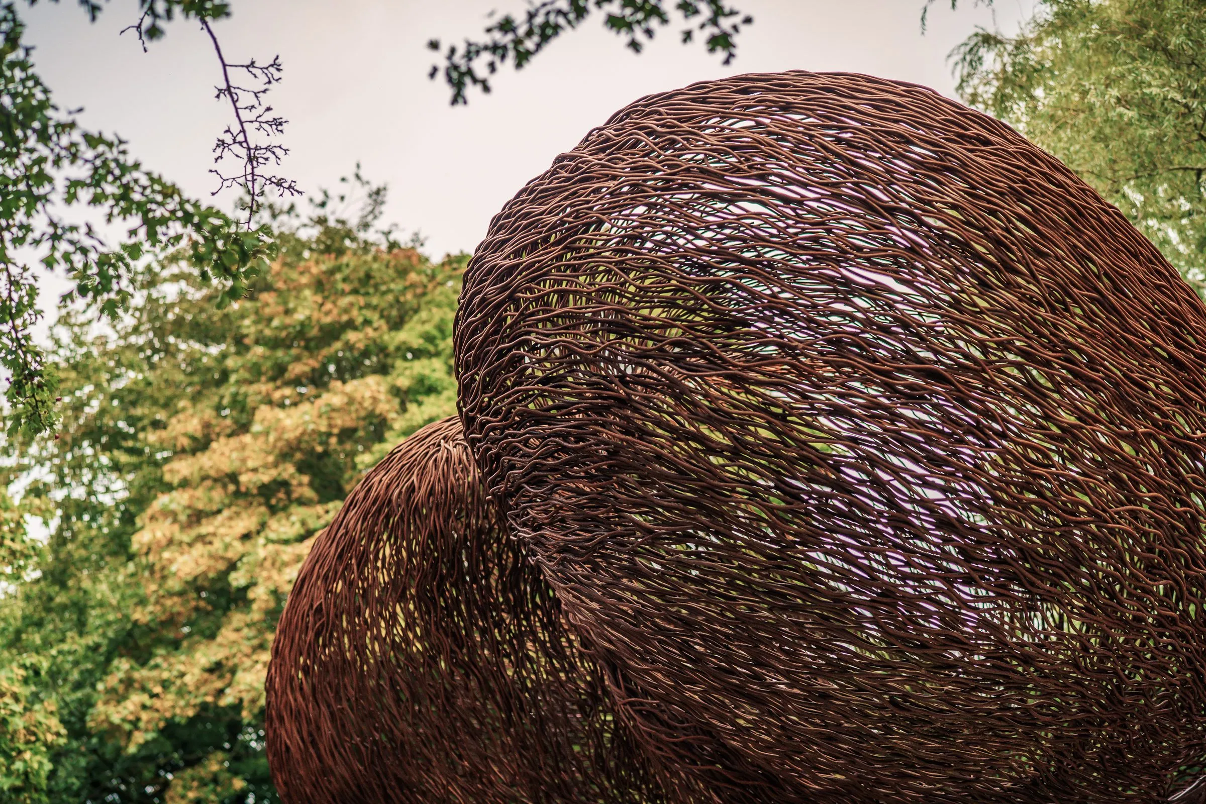 Close-up from below: a huge oval body of rust-brown steel wire against trees and sky