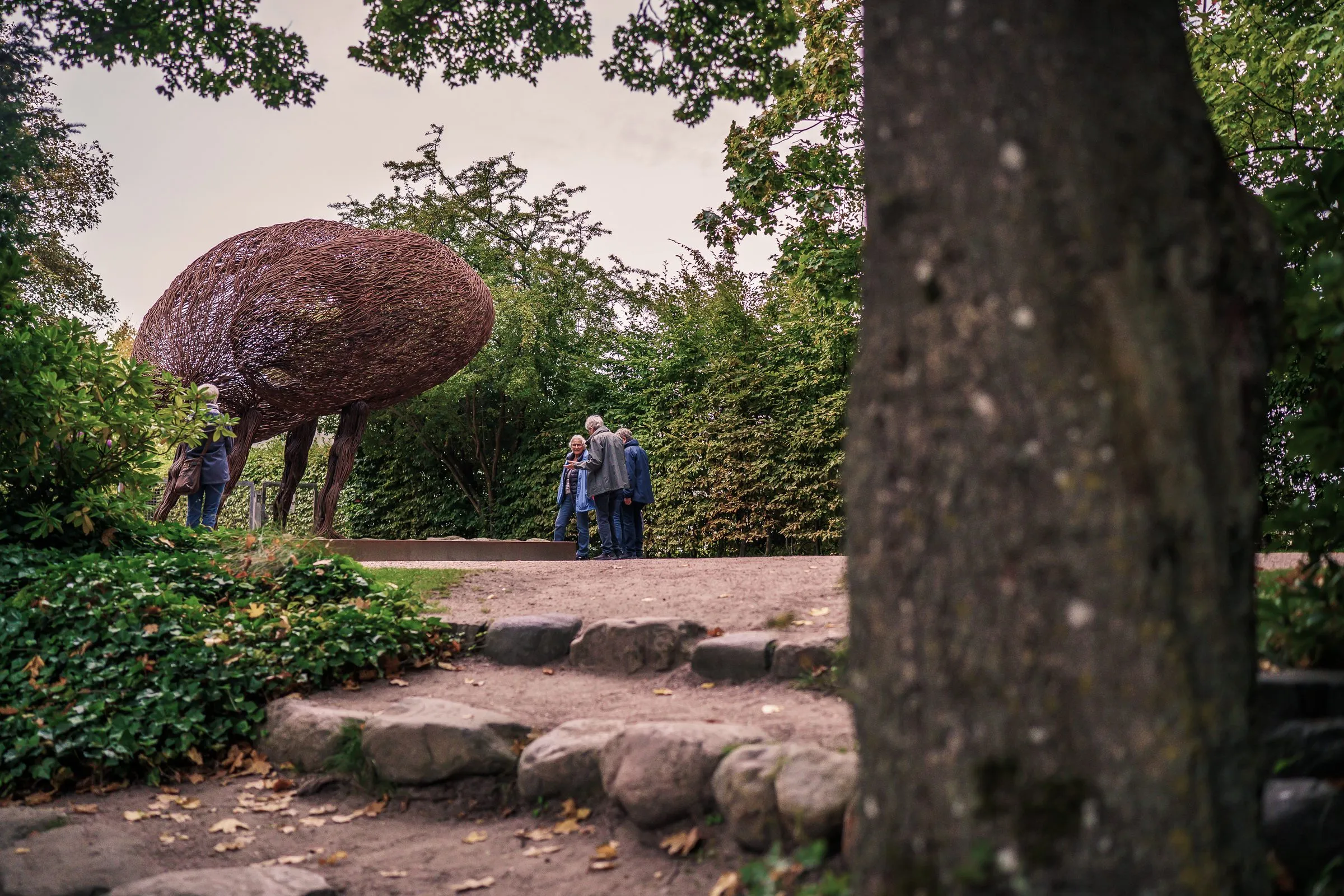 The wire sculpture seen between trees, a dark trunk and stone steps in the foreground