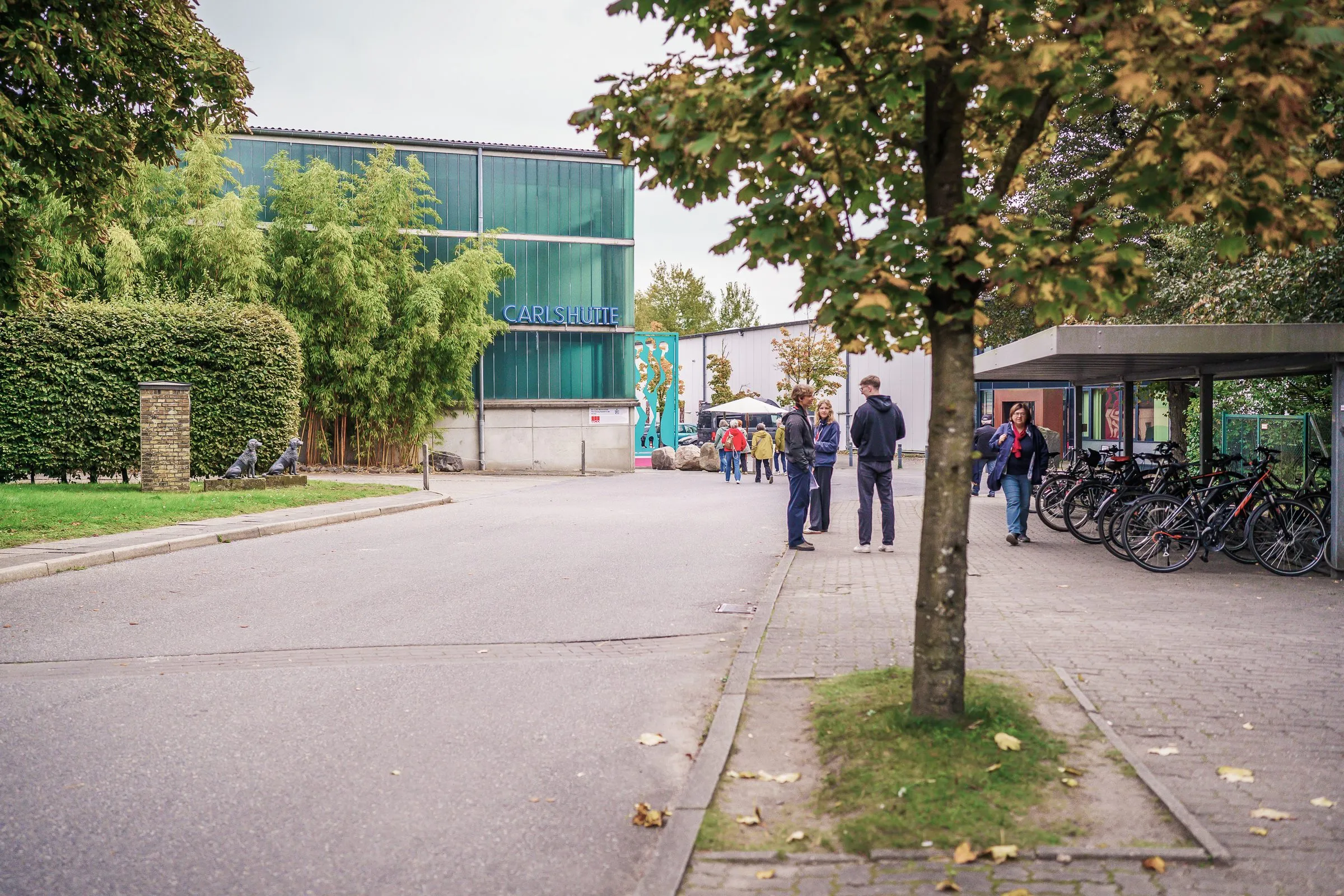 The access road to the grounds with trees, bicycle racks and a building with a green glass facade