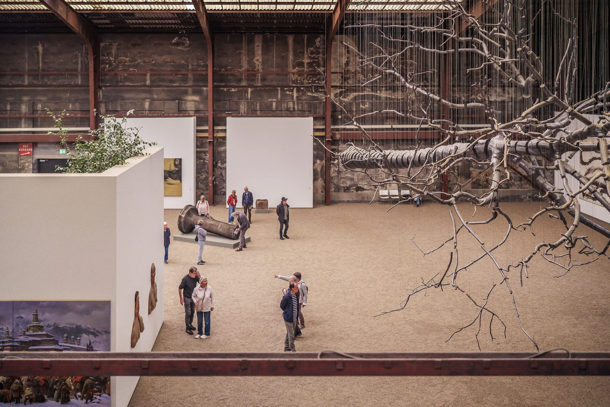 A view from above into a hall with a sand floor, visitors among bare branches and white walls