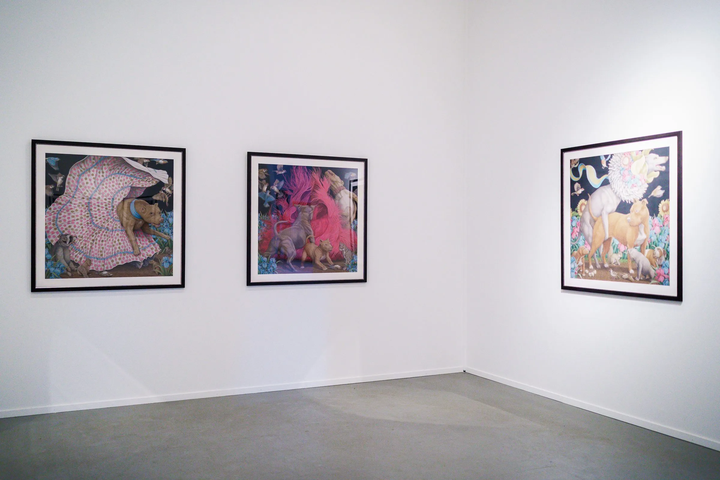Three framed pictures in strong colours in a white room