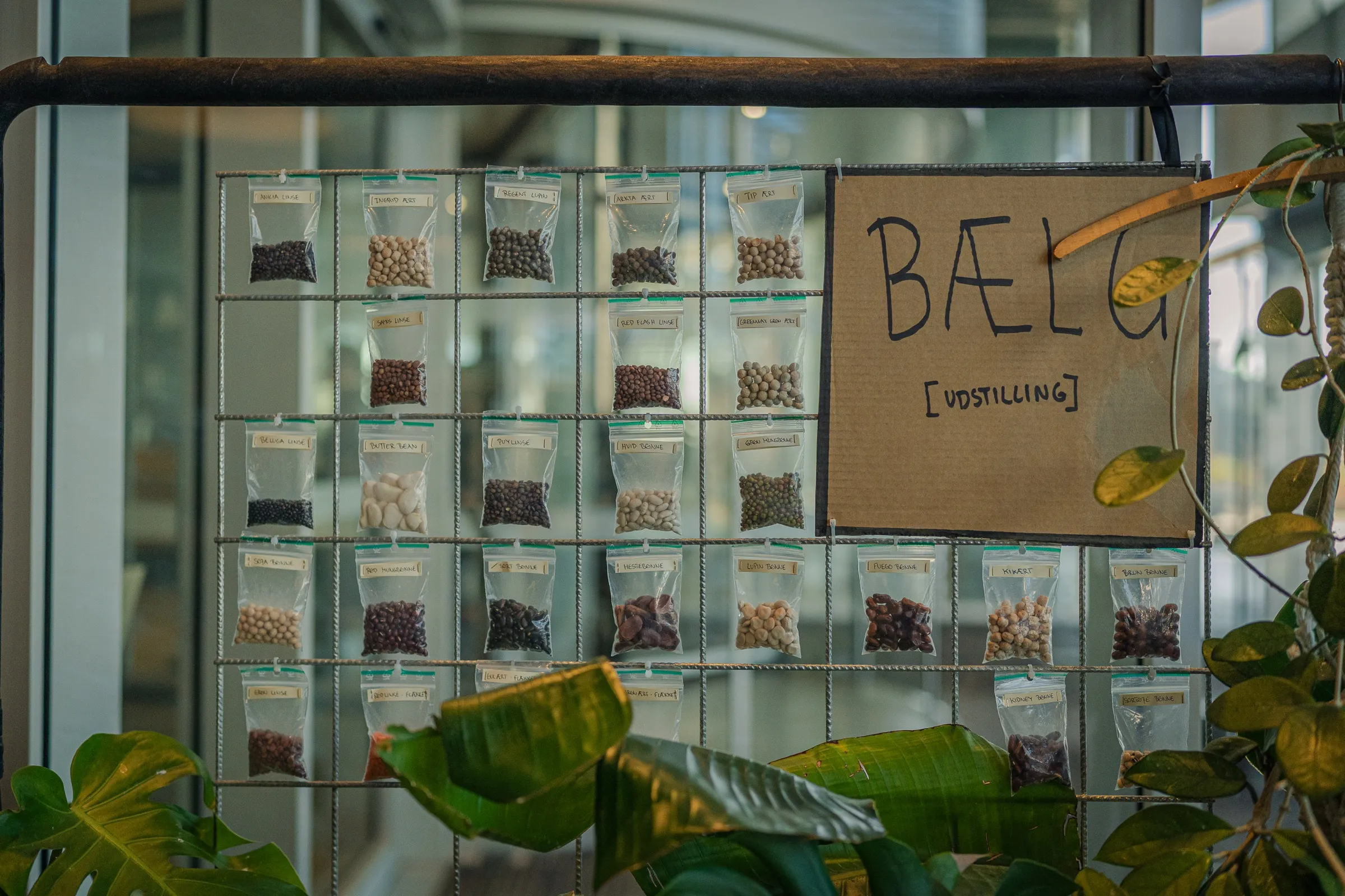 A wall with many small packets in compartments, a handwritten sign and plants beside it