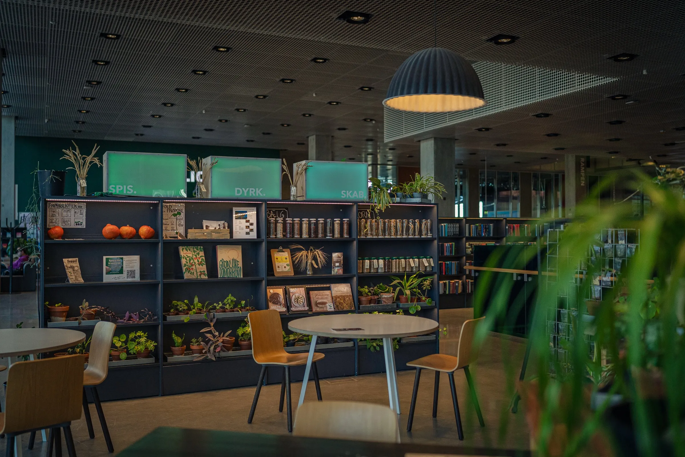 Shelves with books and objects, round tables, a large lamp