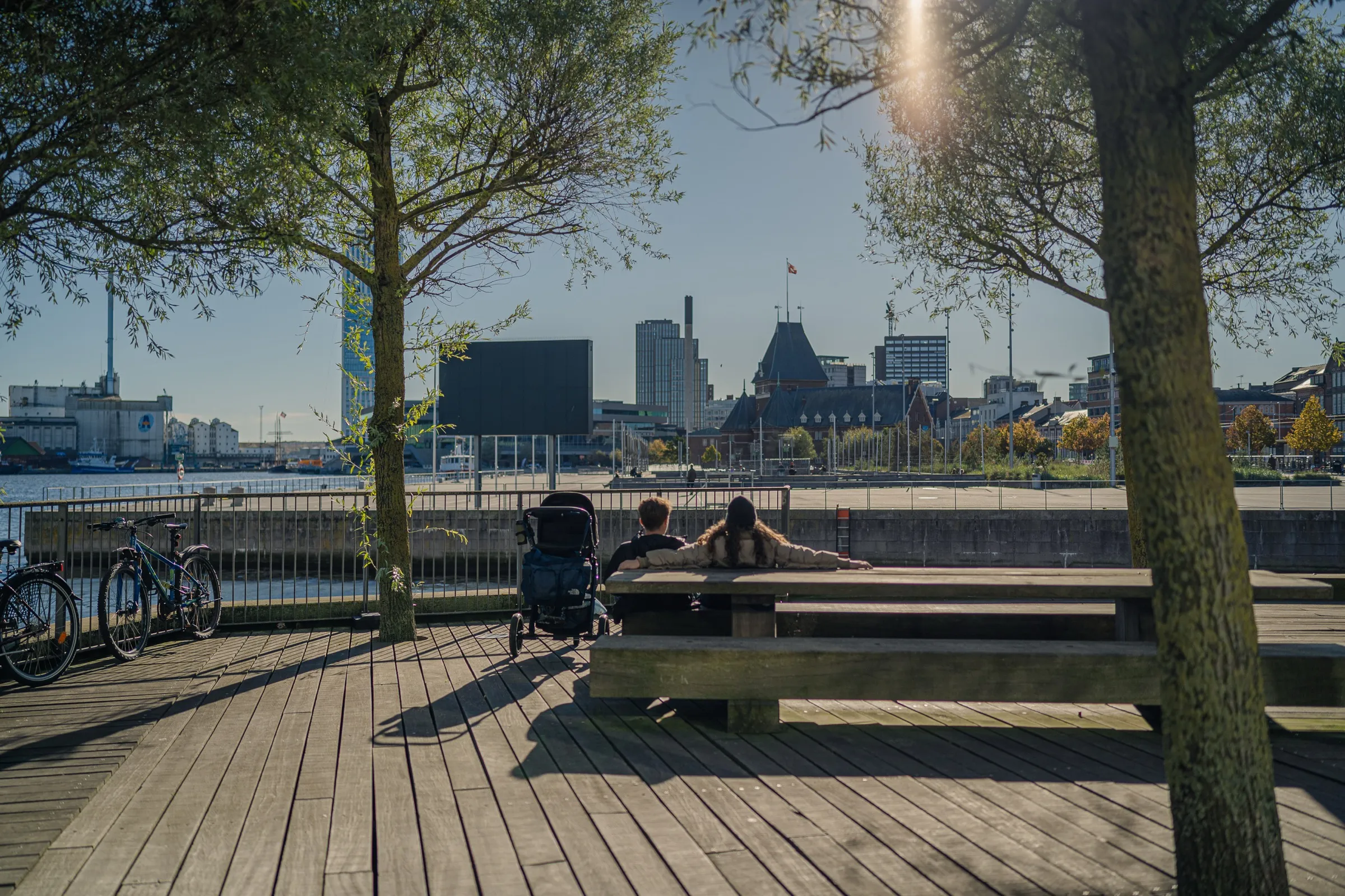 A wooden deck with benches beneath two trees, new buildings and a tower behind