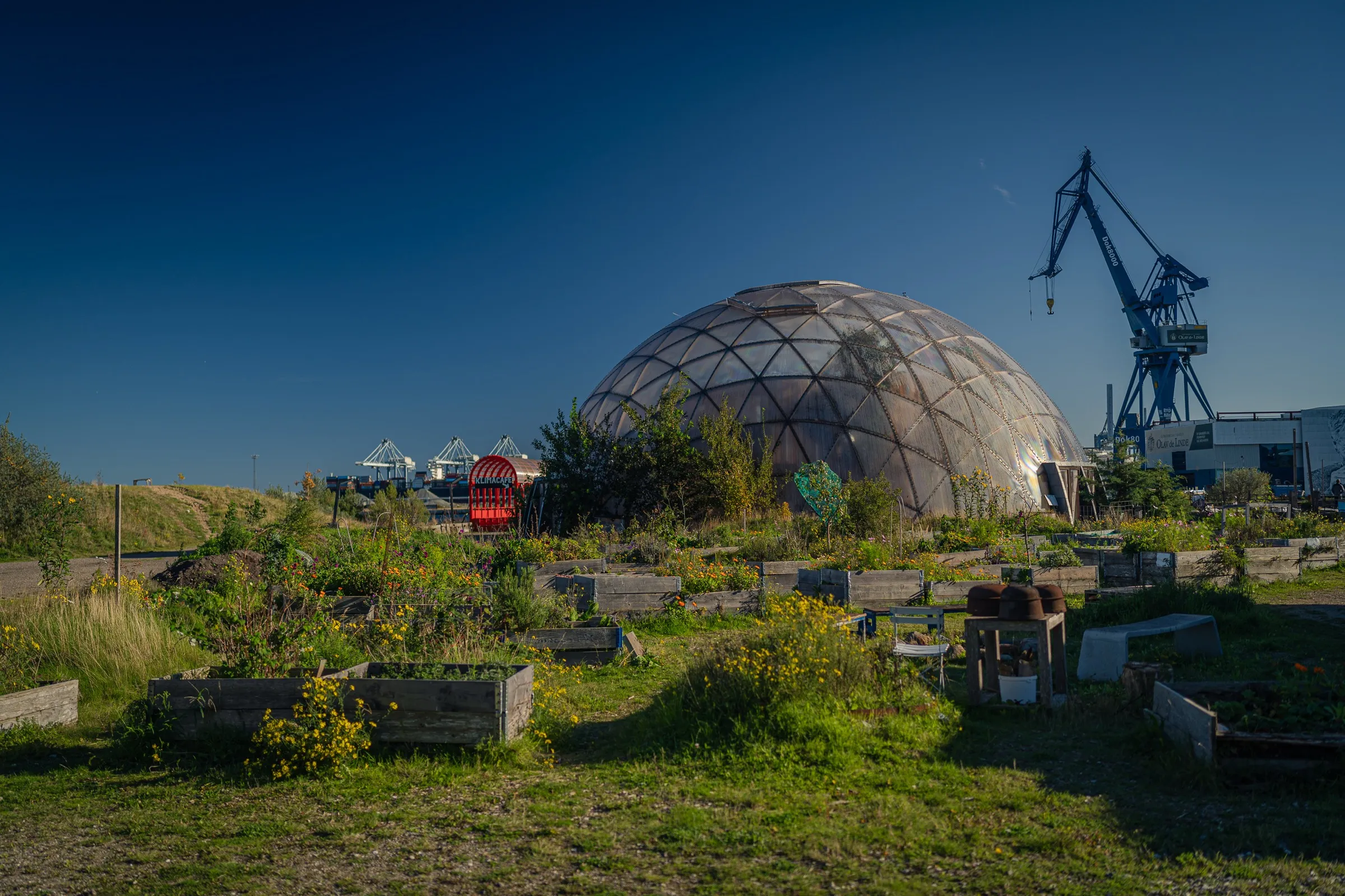 A dome of timber and plastic panels behind raised beds, a blue harbour crane on the right