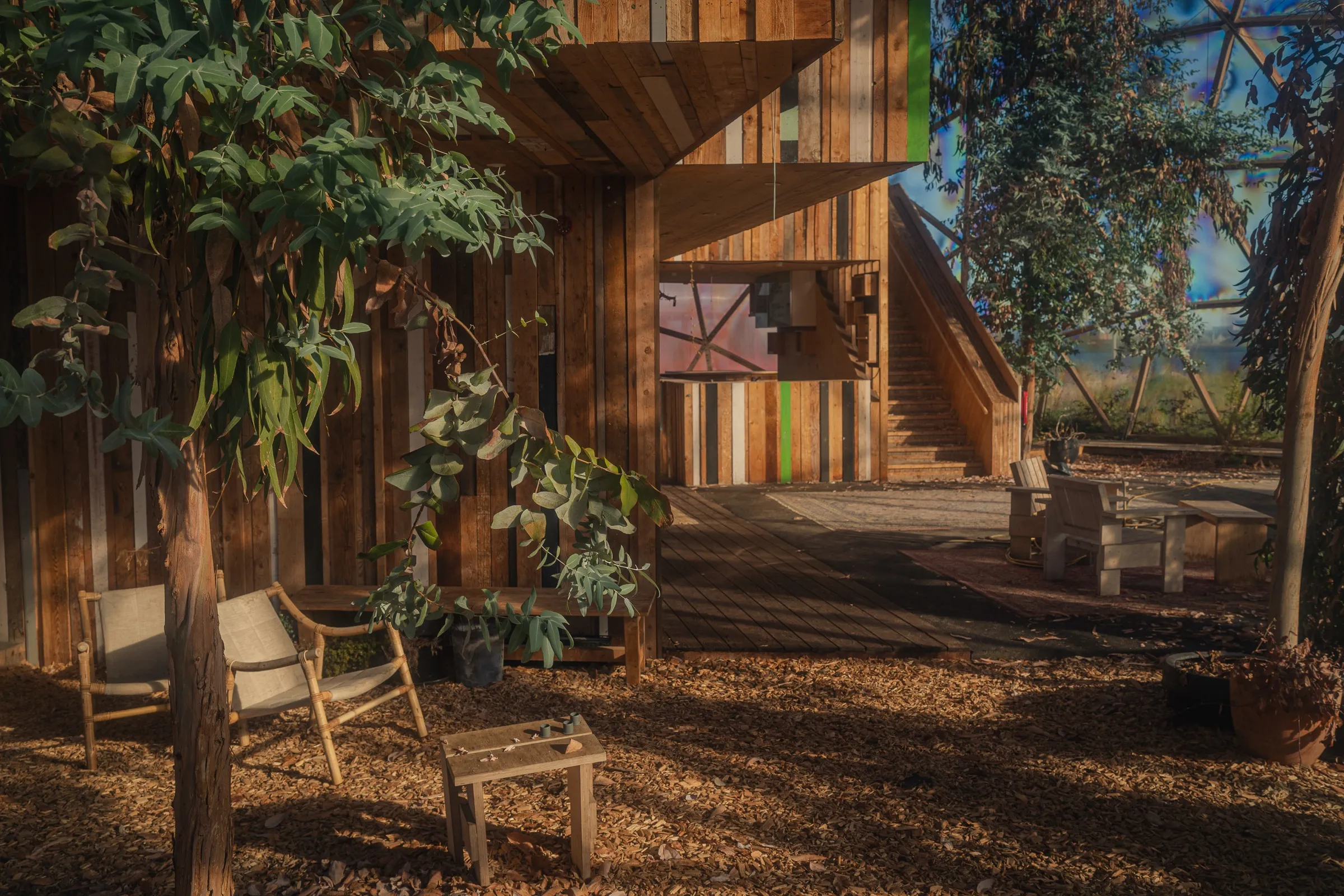 Beneath the dome a timber house with stairs, chairs, plants and wood chips in front