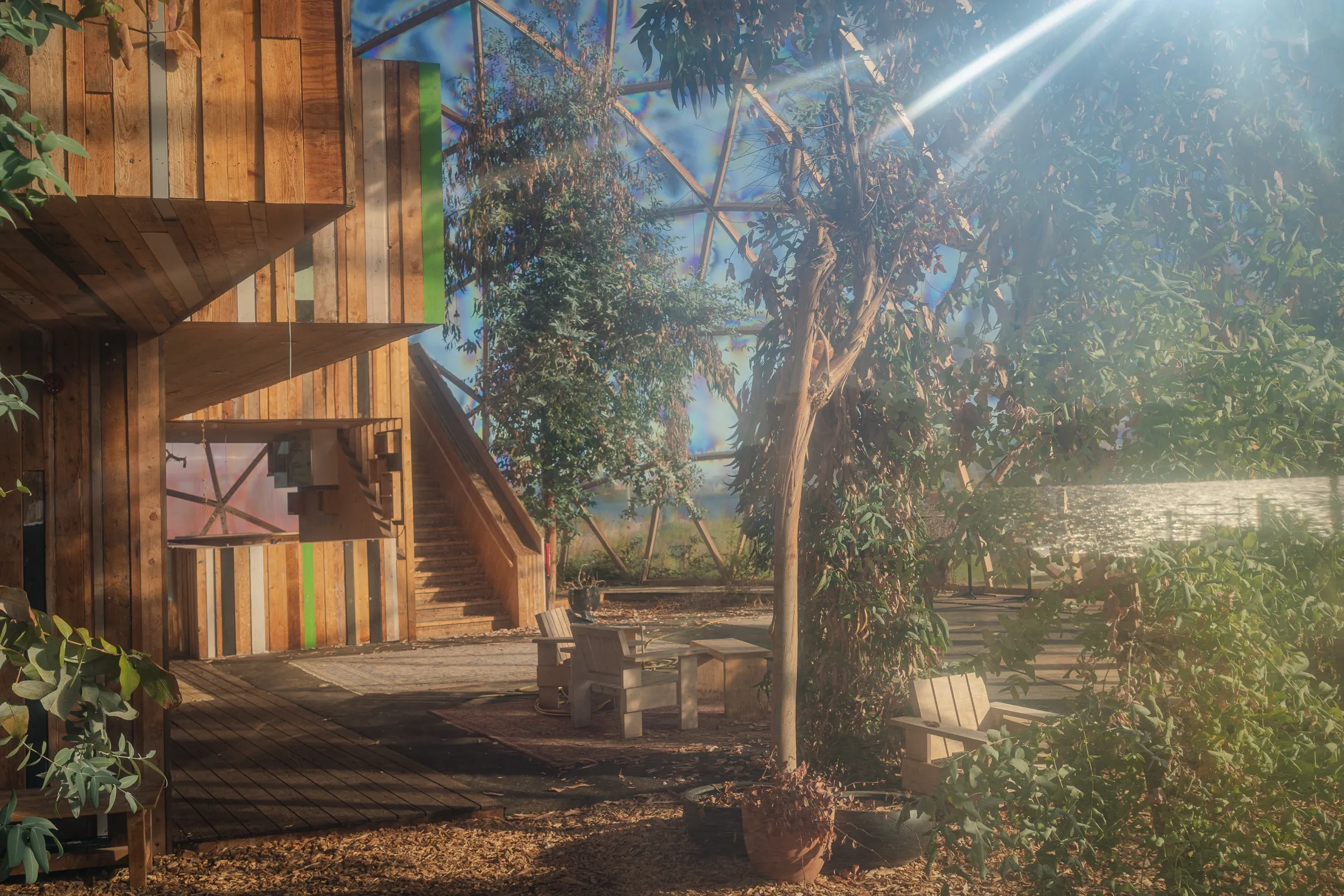 Sunbeams fall through the dome onto trees and the timber house