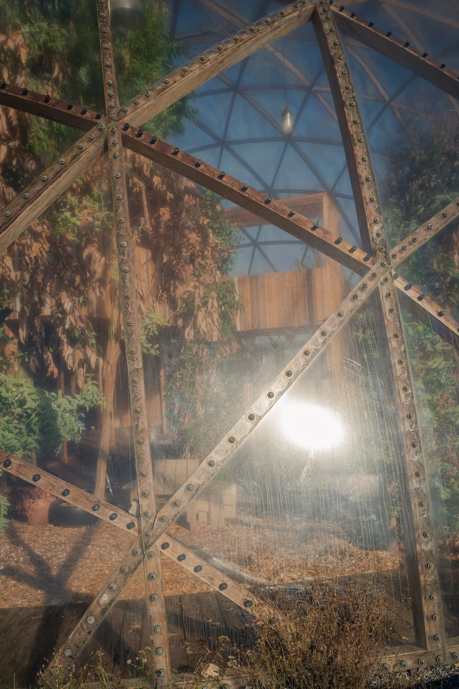 Portrait: the dome's structure from inside, the sun as a bright spot