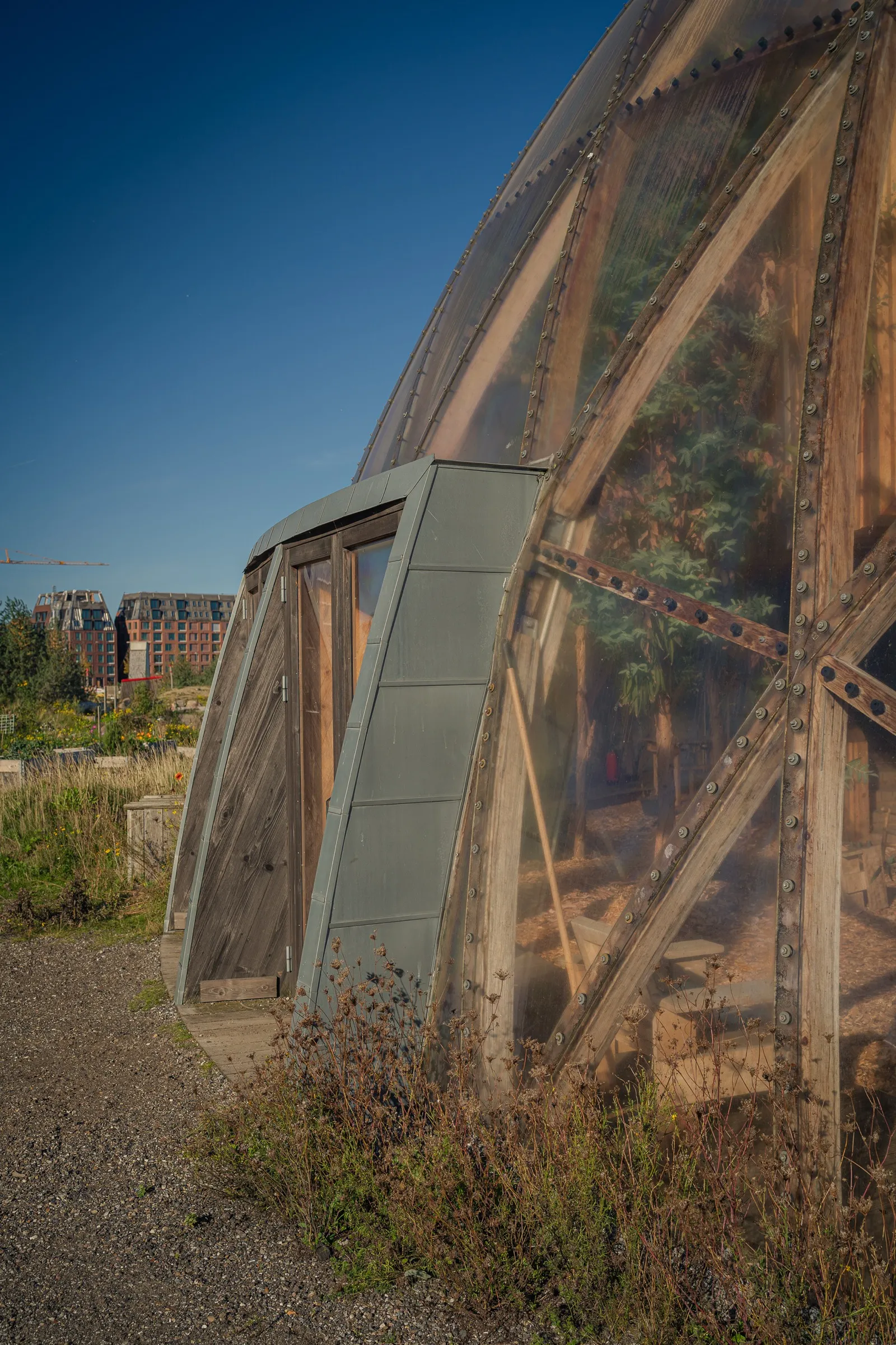 Portrait: the dome's outer skin of rhombus panels, grasses in front
