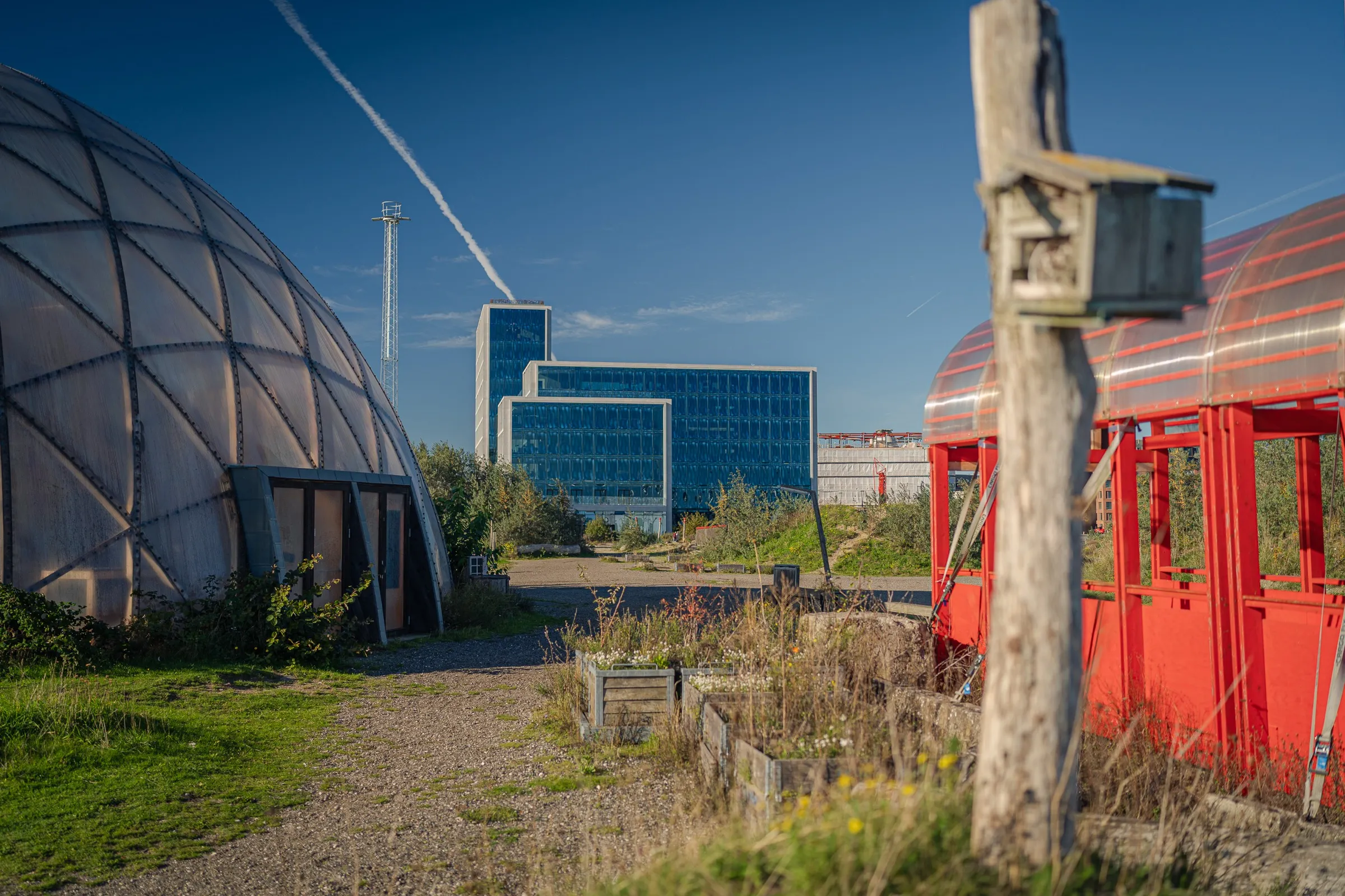 The dome, a timber post with a birdhouse and a small red hut, office buildings behind
