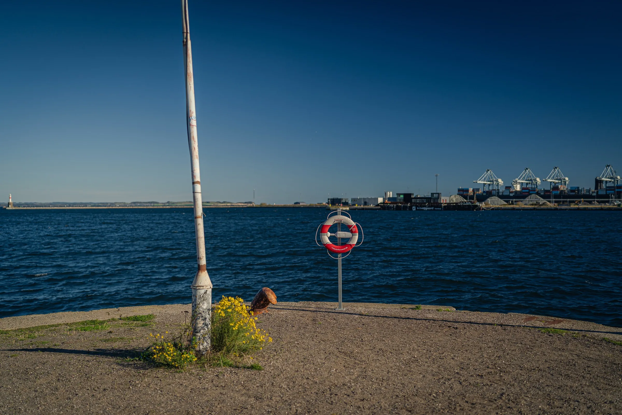 A leaning mast, a lifebuoy and wildflowers at the edge of the sea