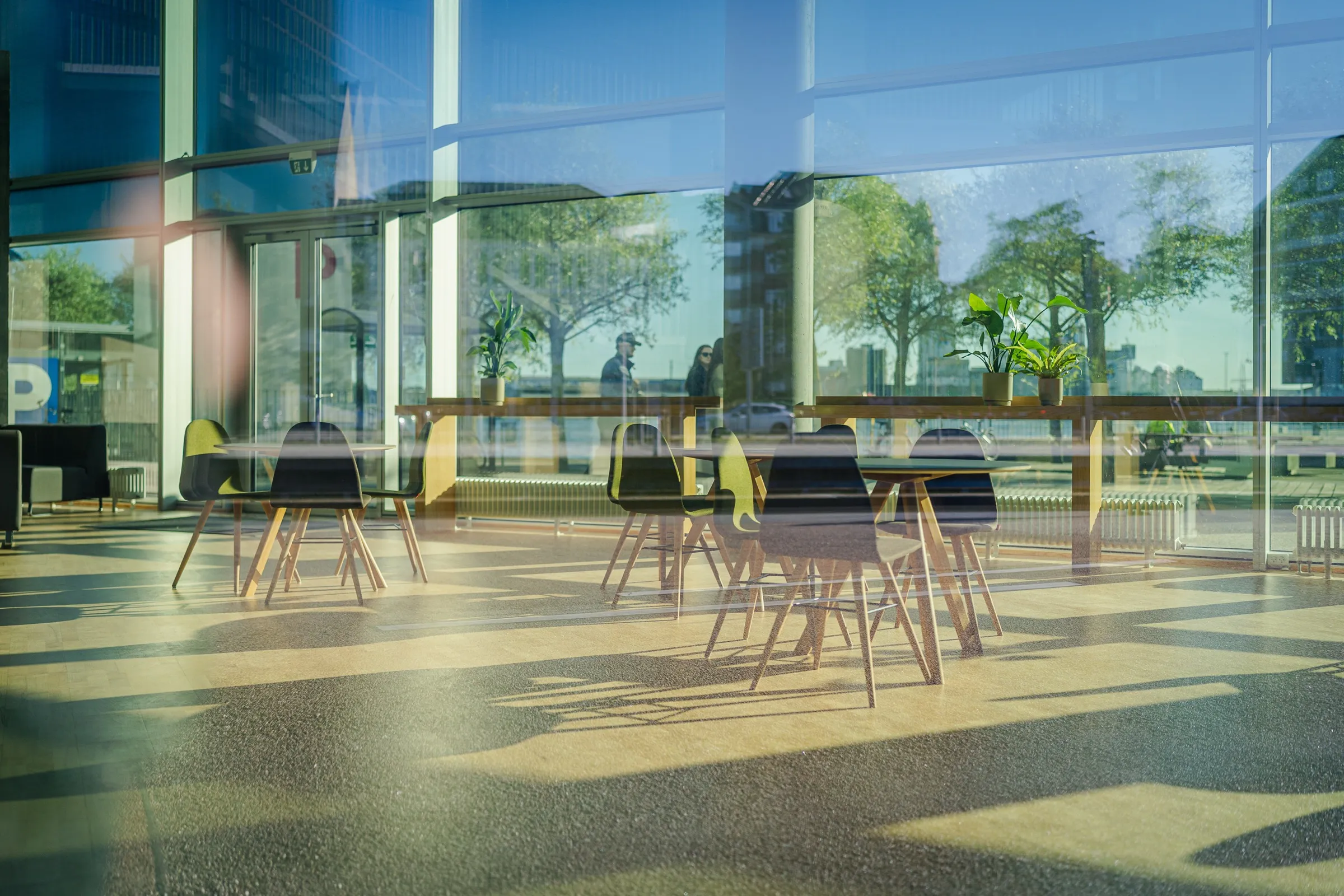 A café behind a glass front, chairs and tables in the sunlight, trees outside