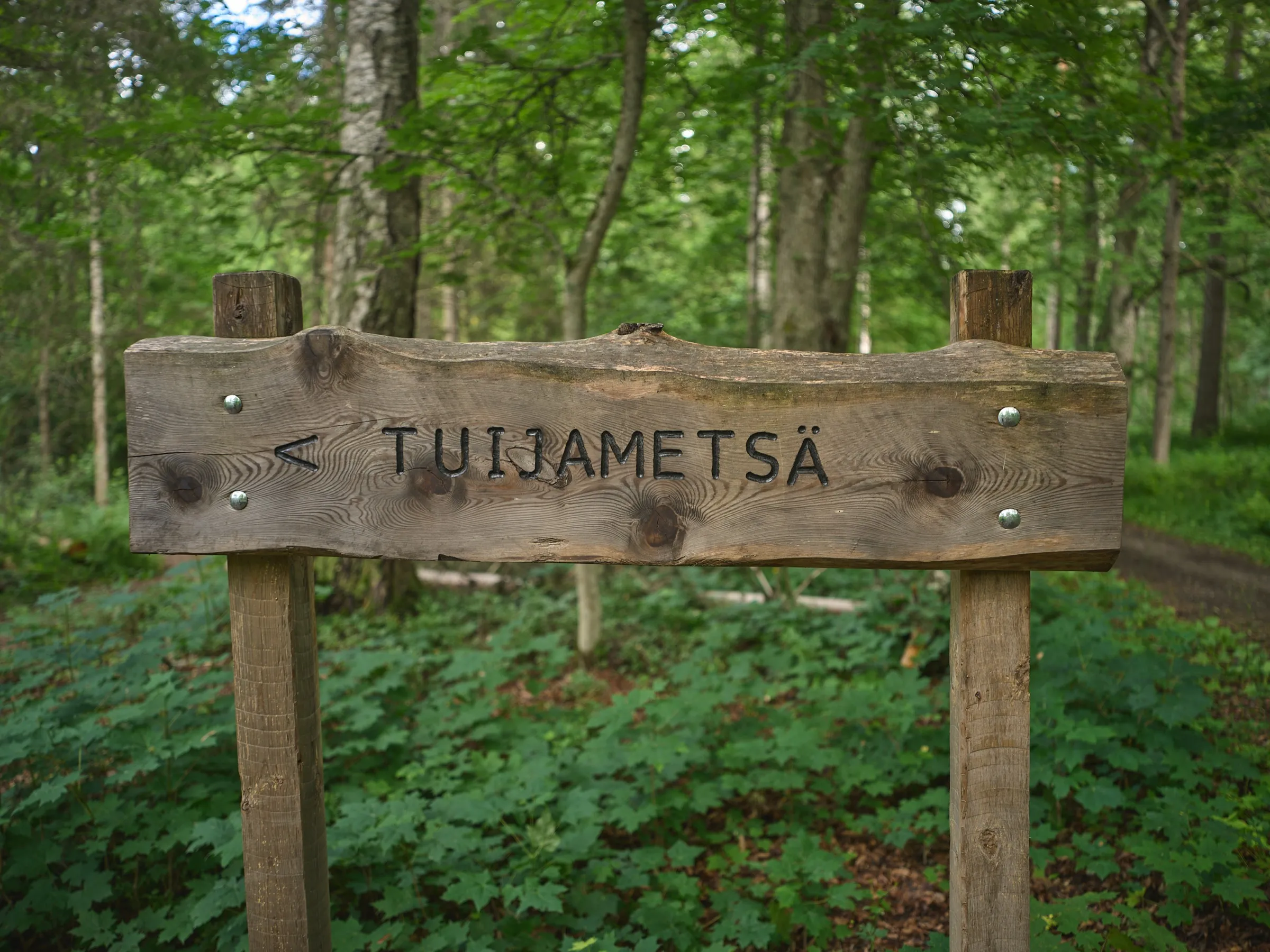 Hand-carved wooden sign reading Tuijametsä with an arrow in the green forest